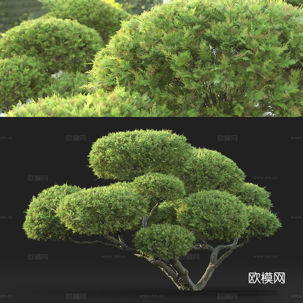 新中式盆景3d模型