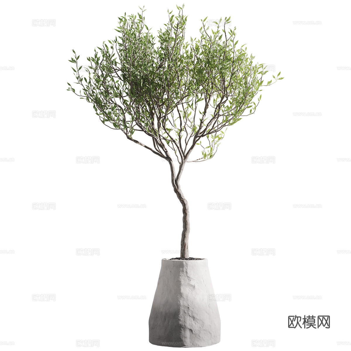 新中式绿植盆栽3d模型