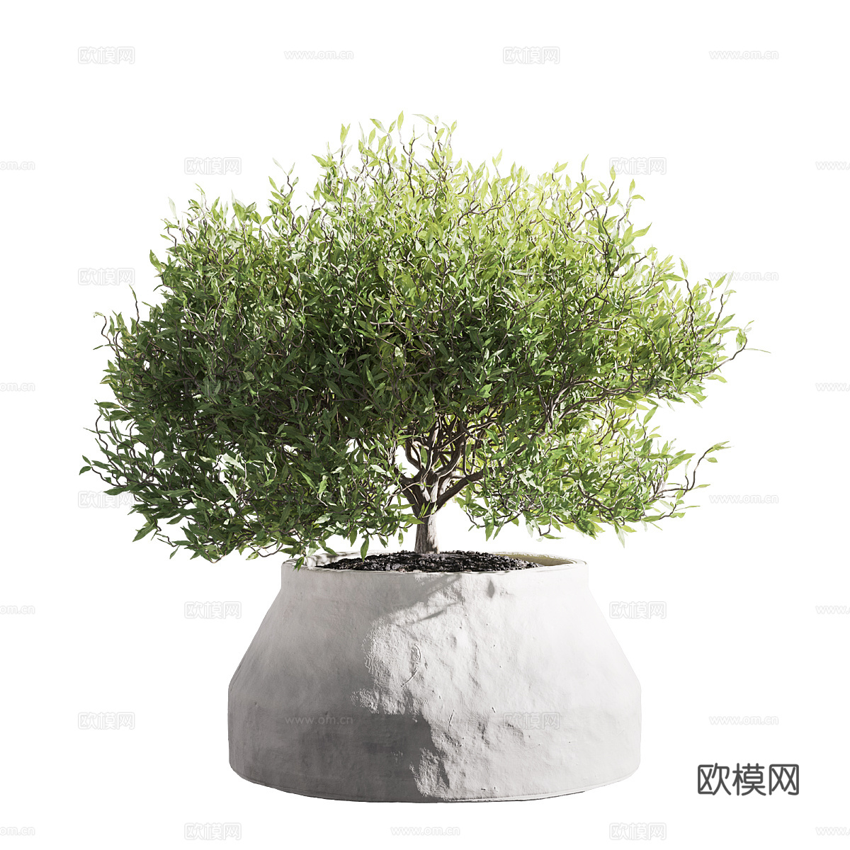 新中式绿植盆栽3d模型