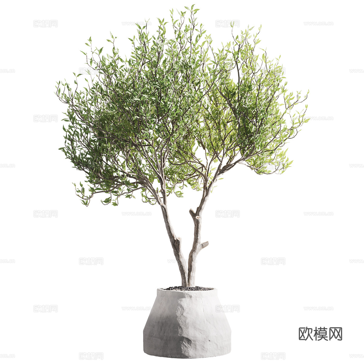 新中式绿植盆栽3d模型