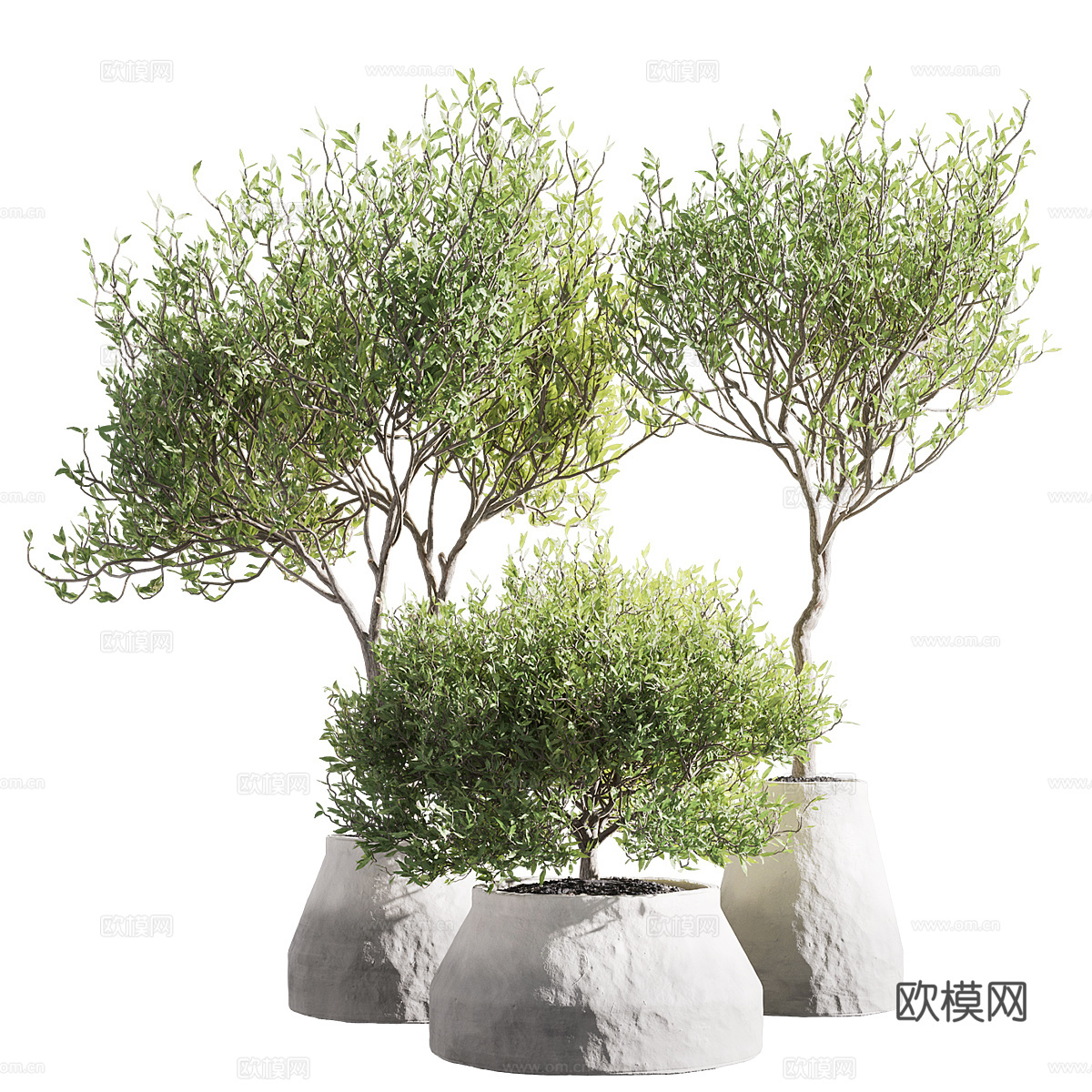 新中式绿植盆栽3d模型