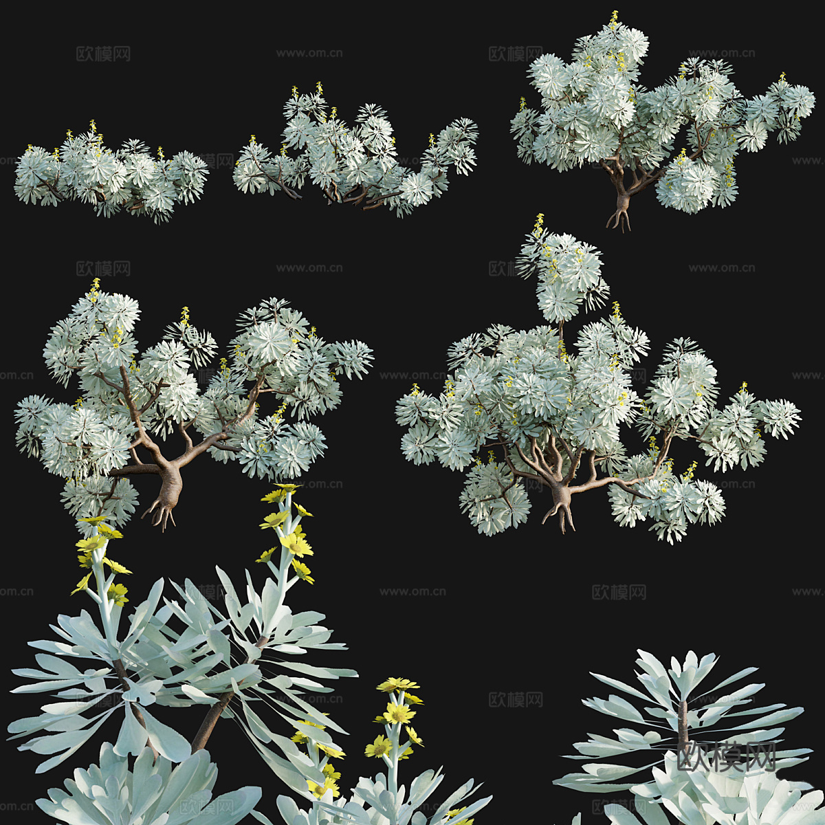 景观树3d模型下载