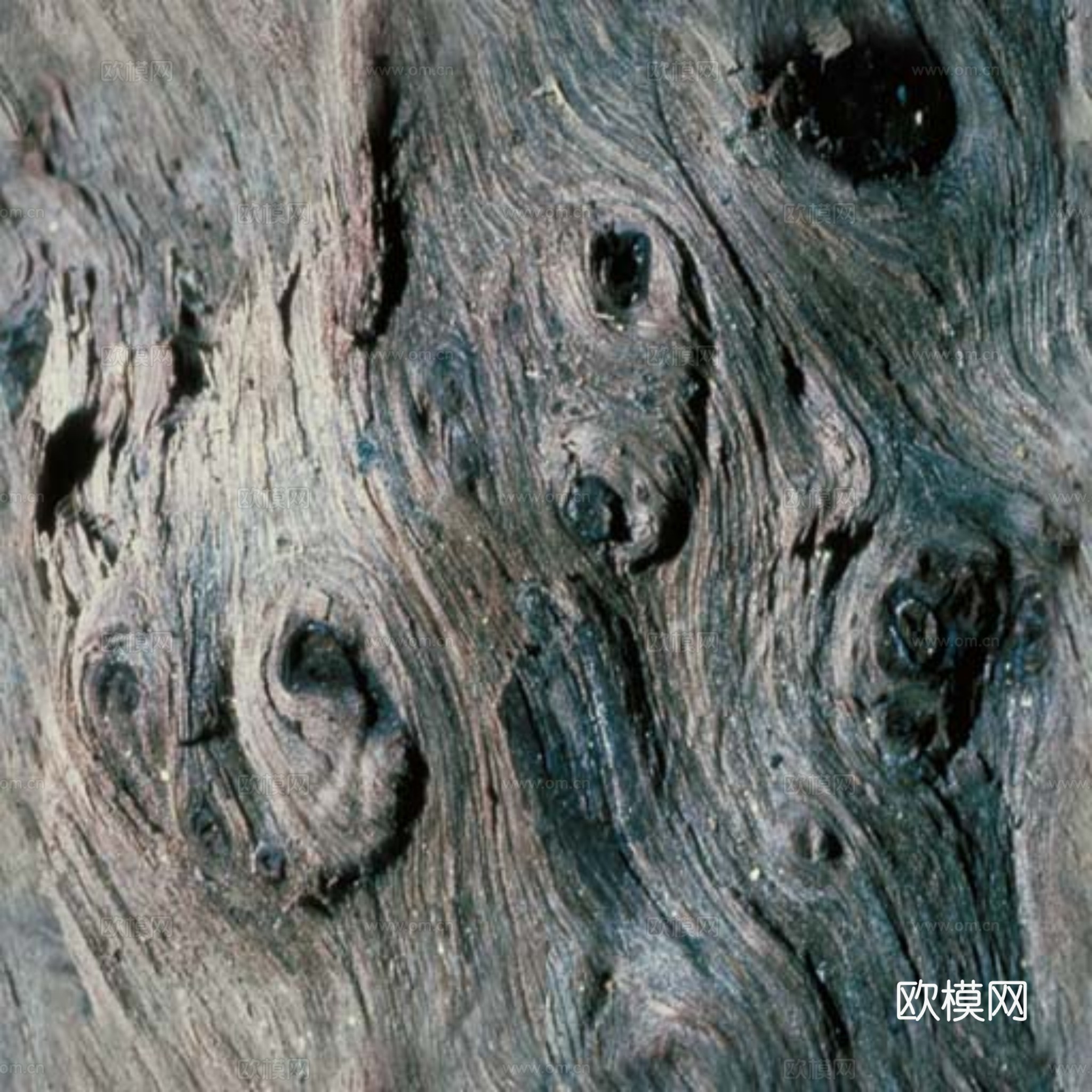 树皮 纹理