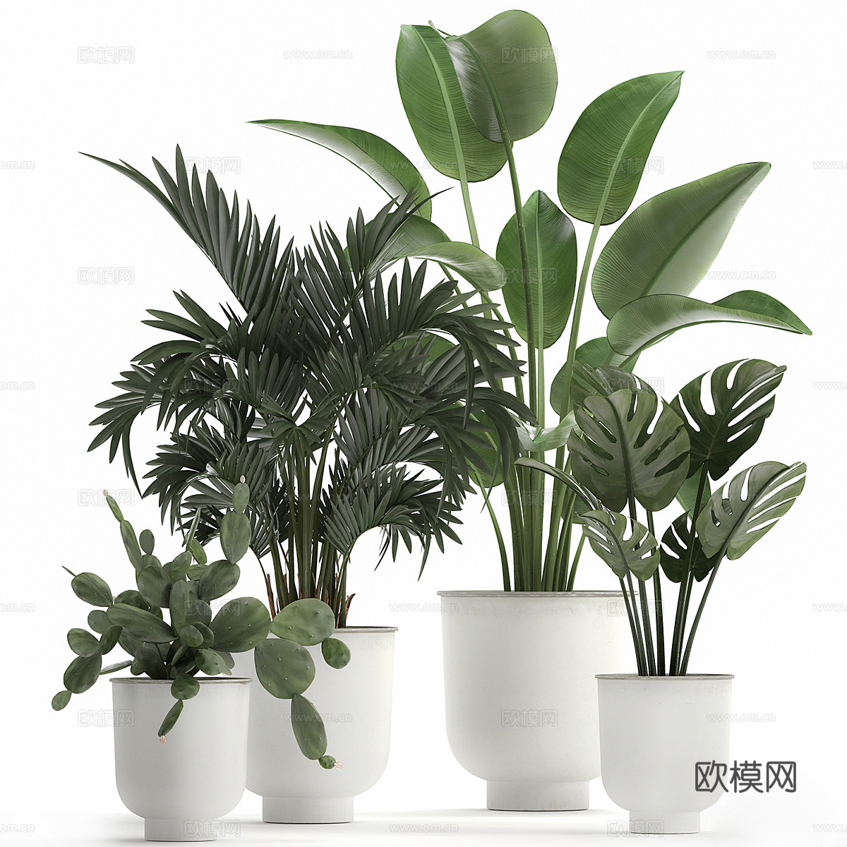 绿植盆栽3d模型