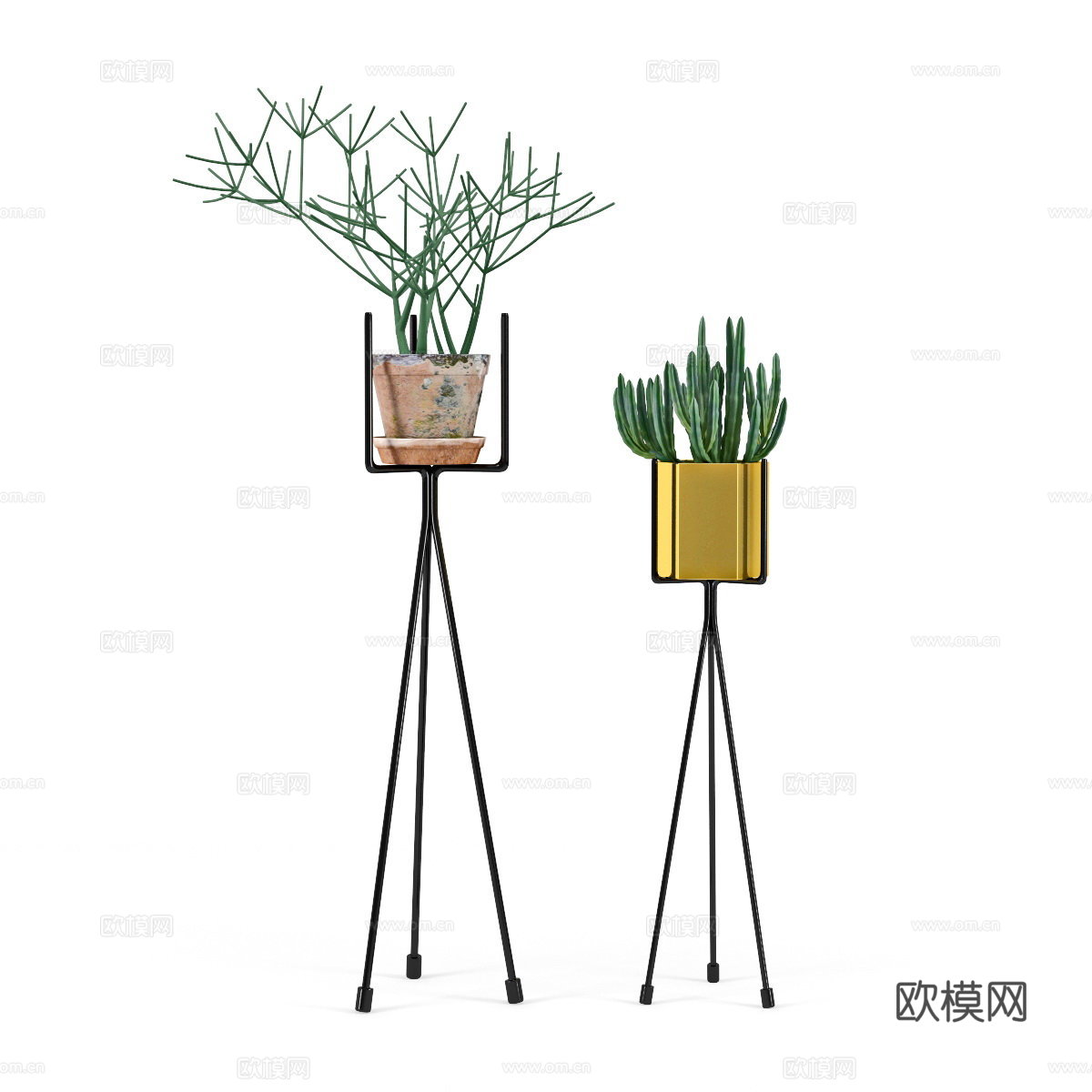 植物架3d模型