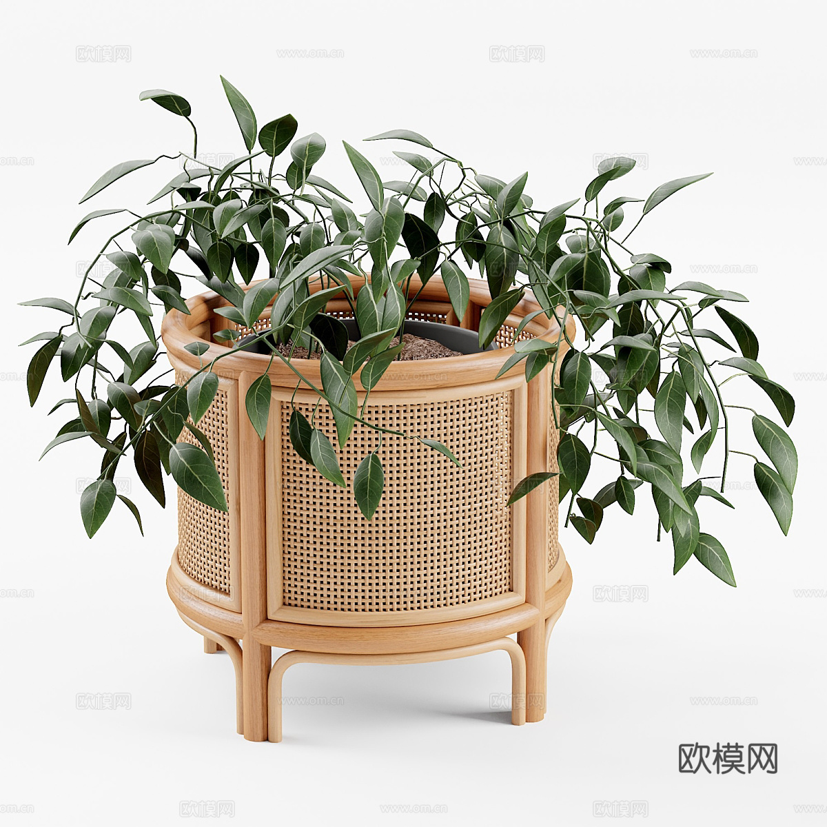 绿植盆栽摆件3d模型