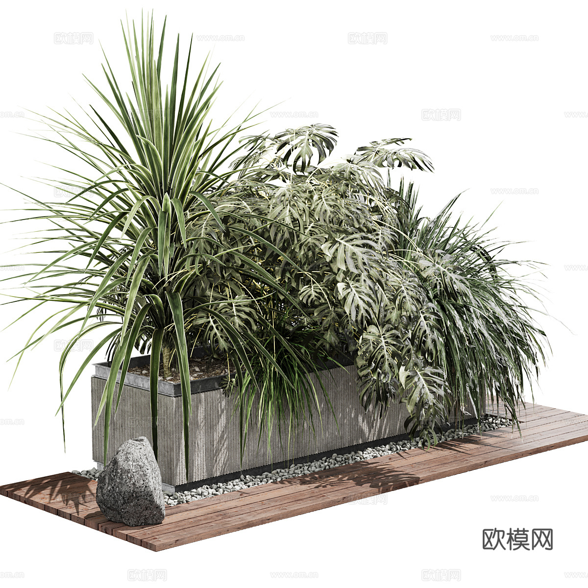 植物盆景3d模型