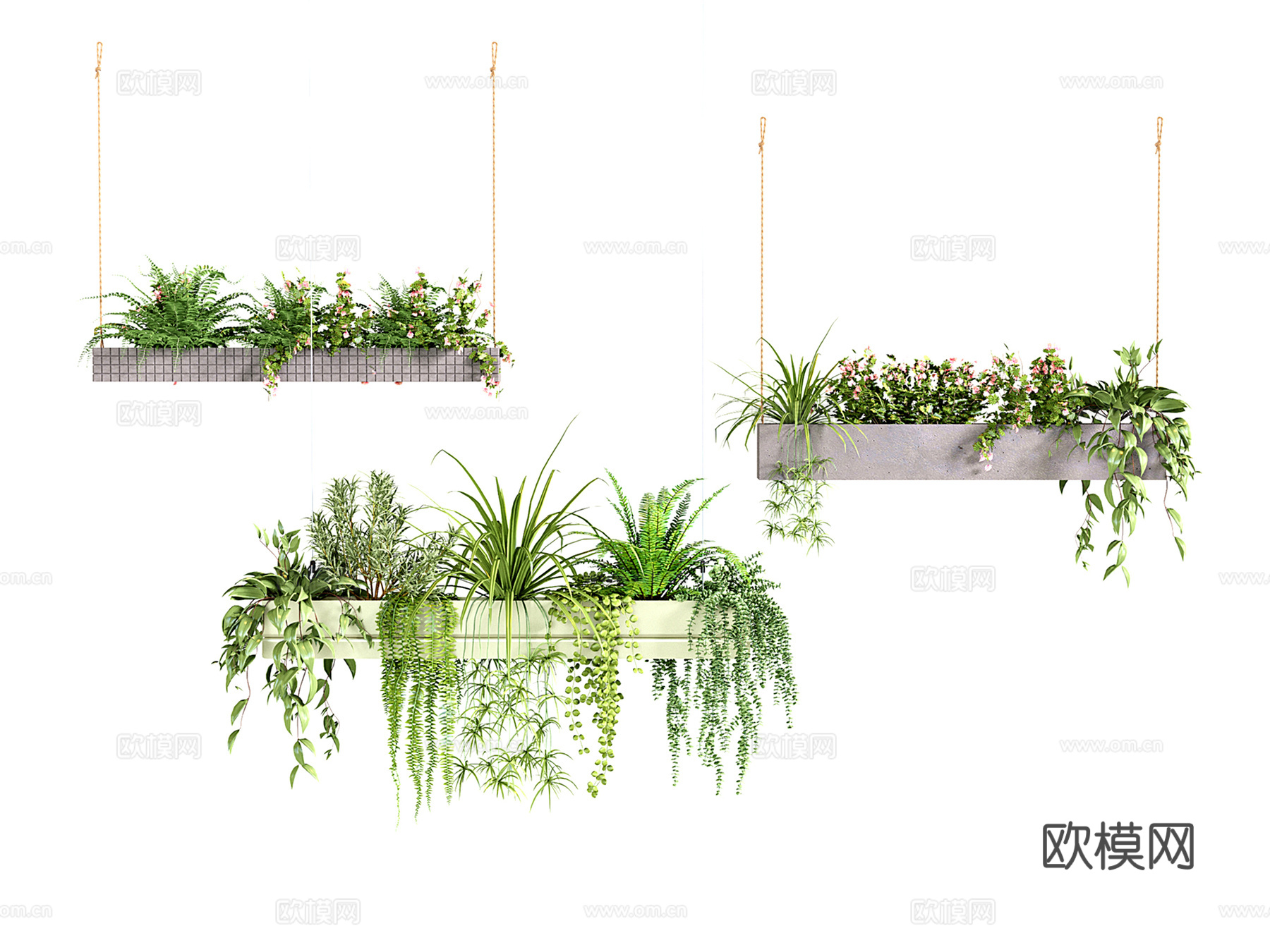 现代吊盆 吊挂植物绿植 垂挂盆栽 蕨类藤蔓植物 花草绿萝3d模型