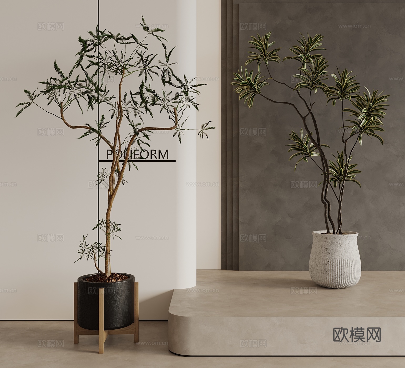 现代 中古风 植物3d模型下载