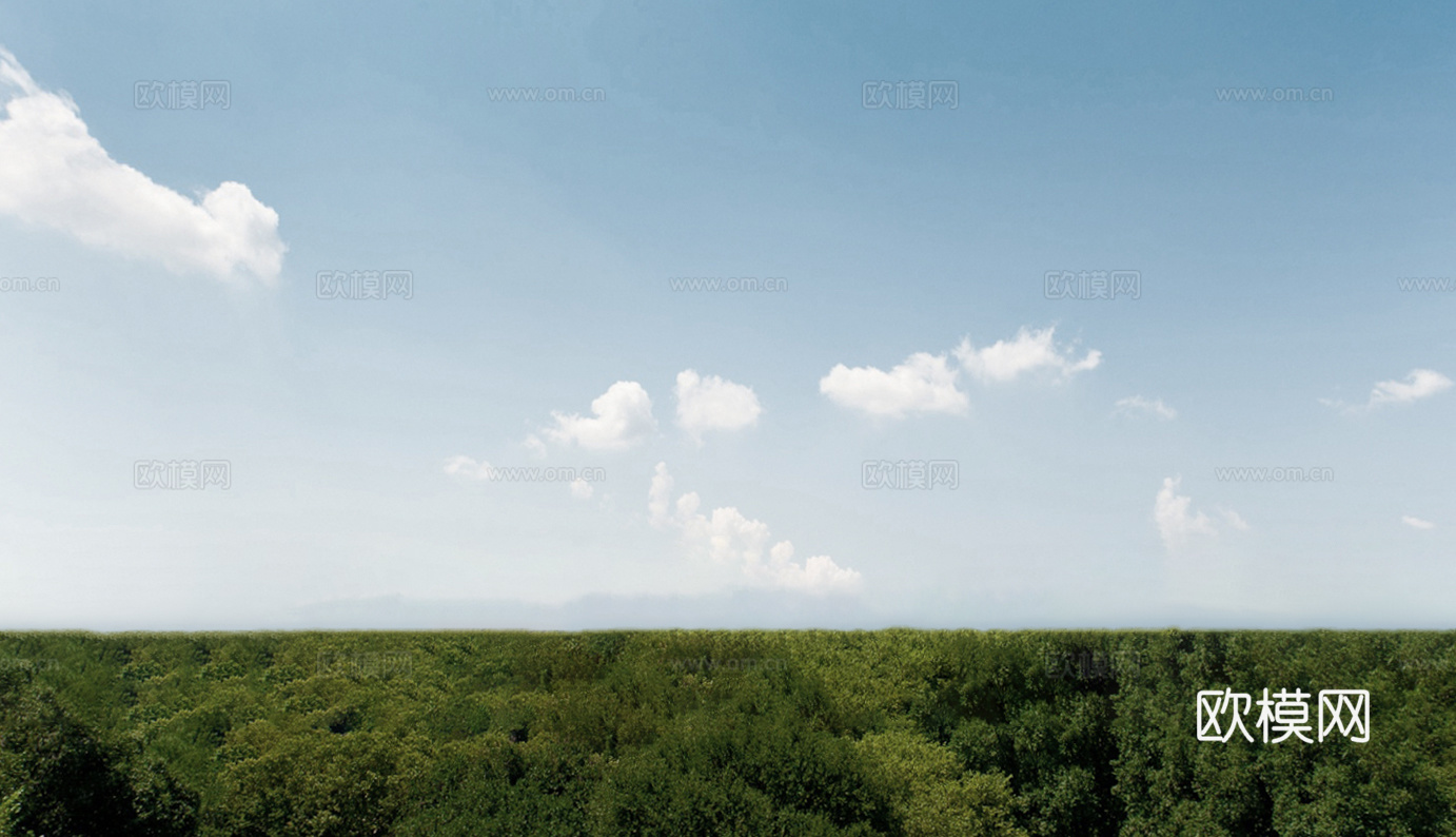 白天森林外景