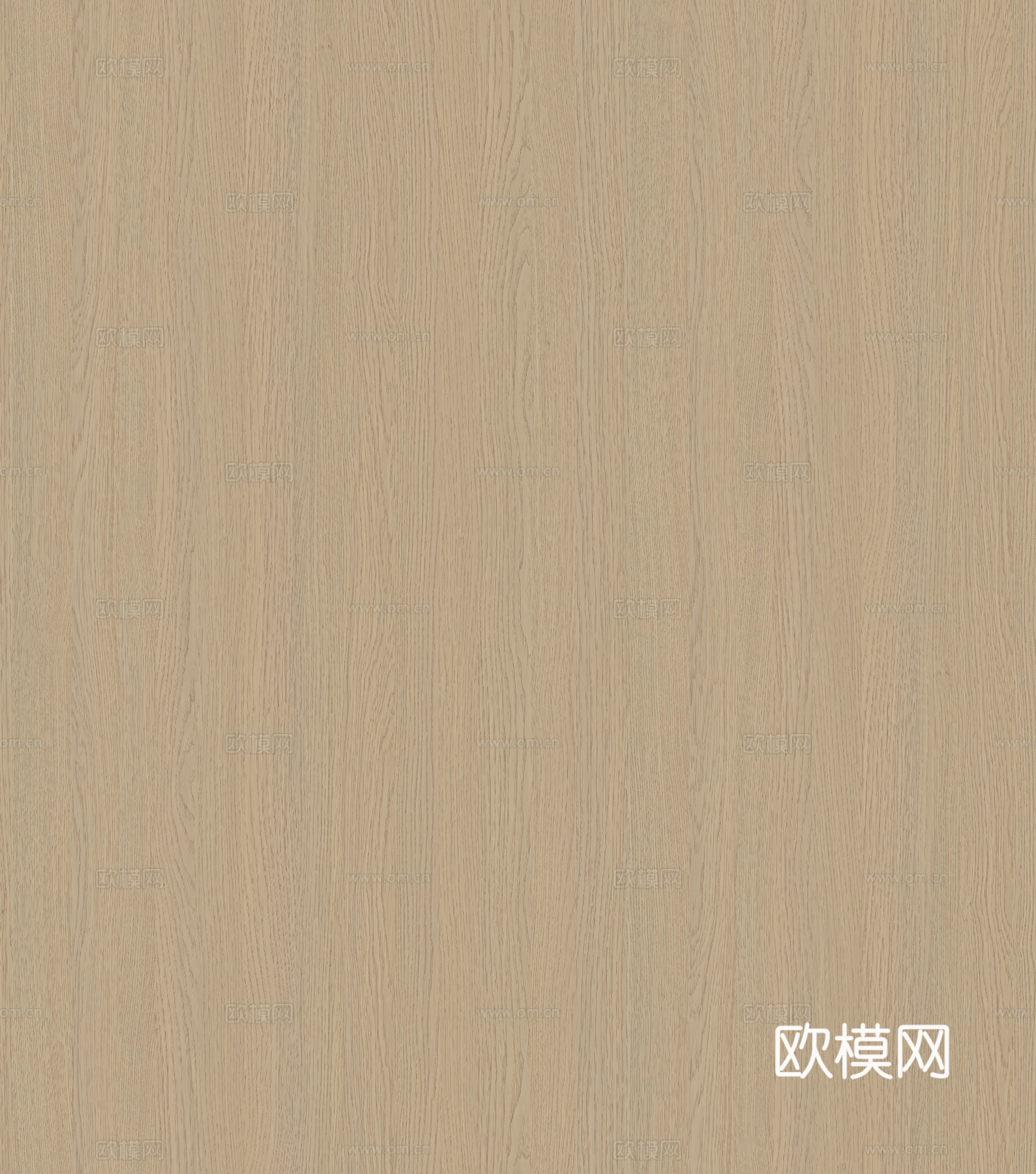 浅橡木