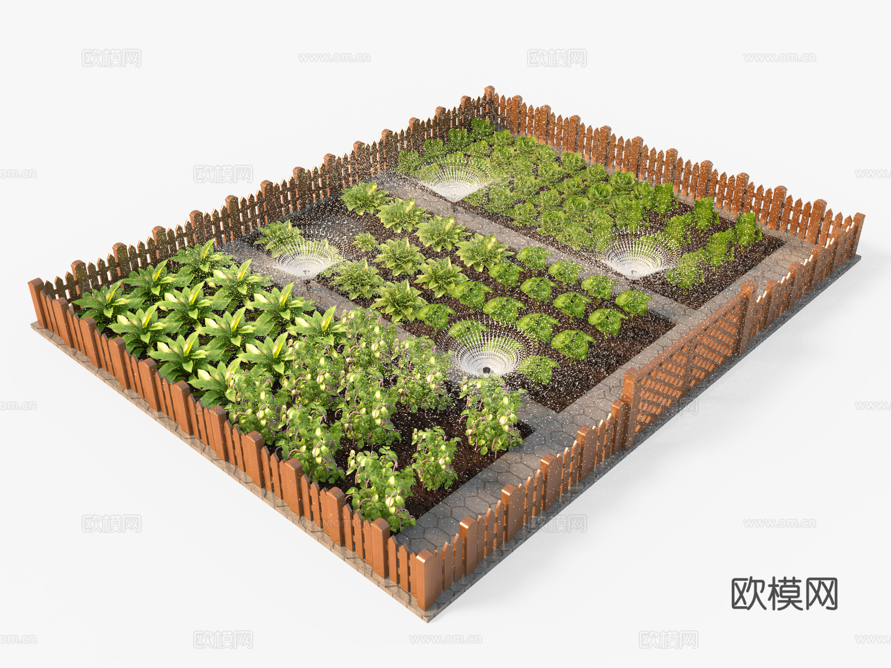 菜地 菜园 洒水喷头 蔬菜su模型下载（渲染图1）