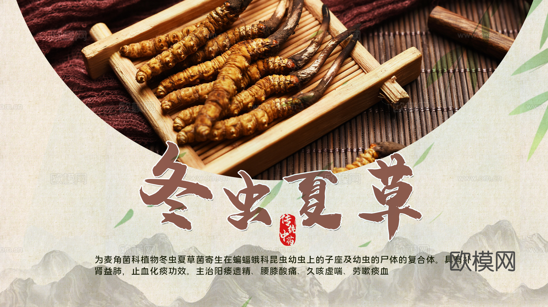 传统中药海报