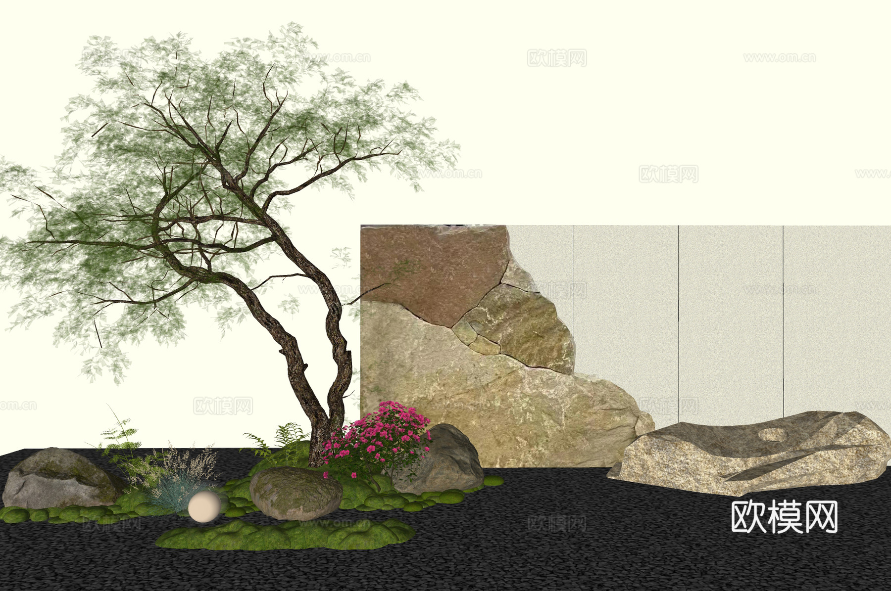 景观树红豆杉 斜飘树 造景树  景墙围墙su模型下载（渲染图2）