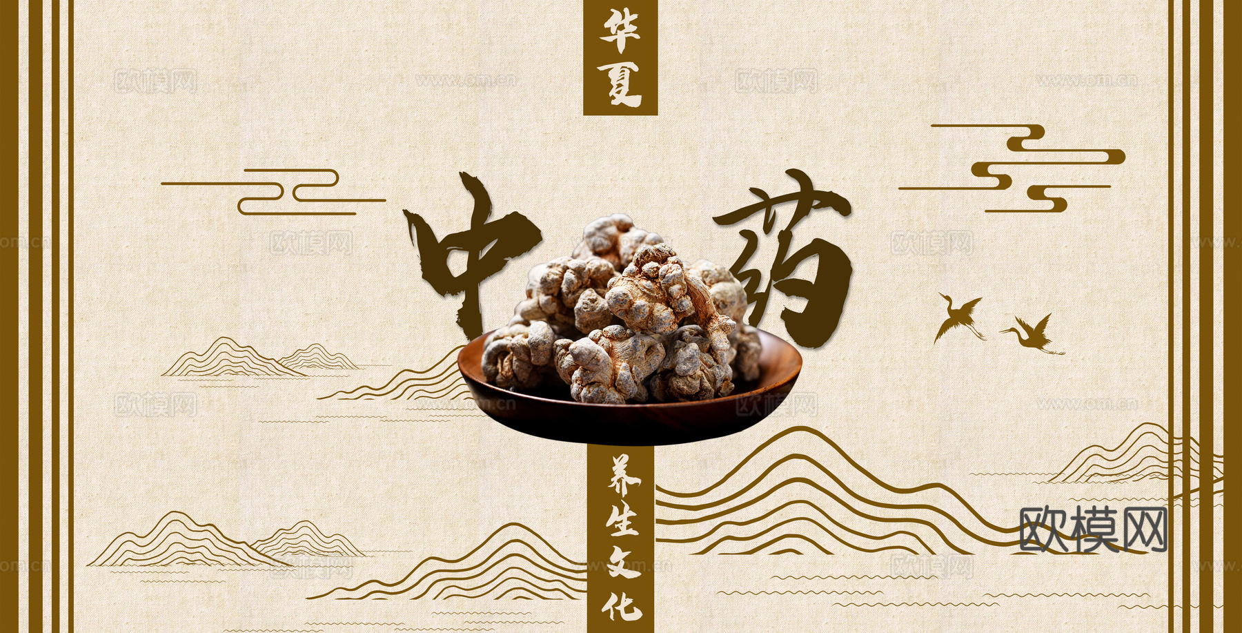 中药海报