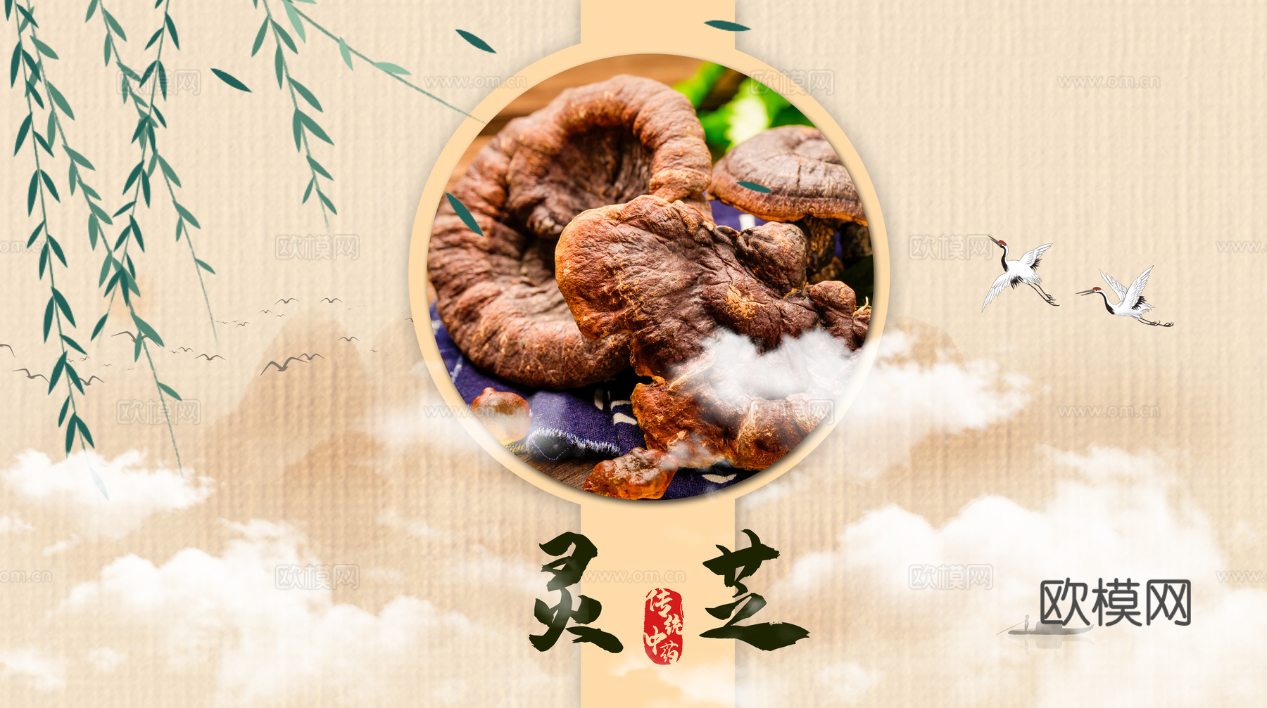 传统中药海报