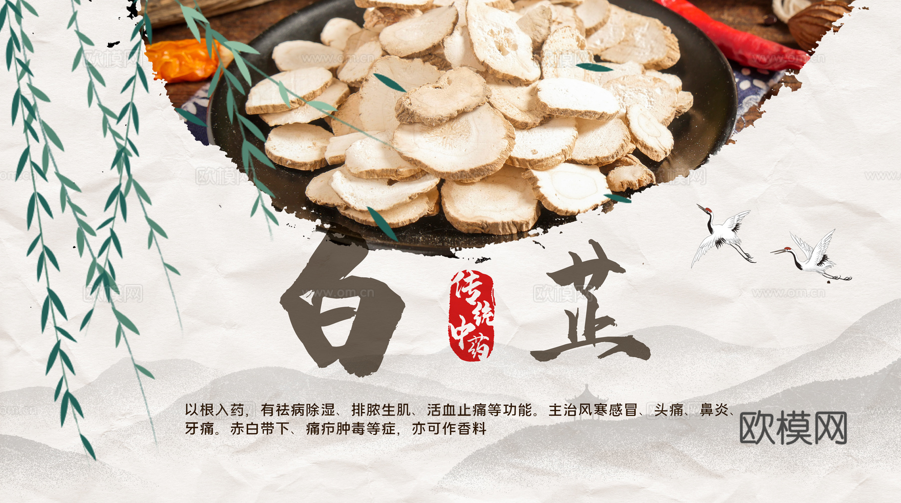 传统中药海报