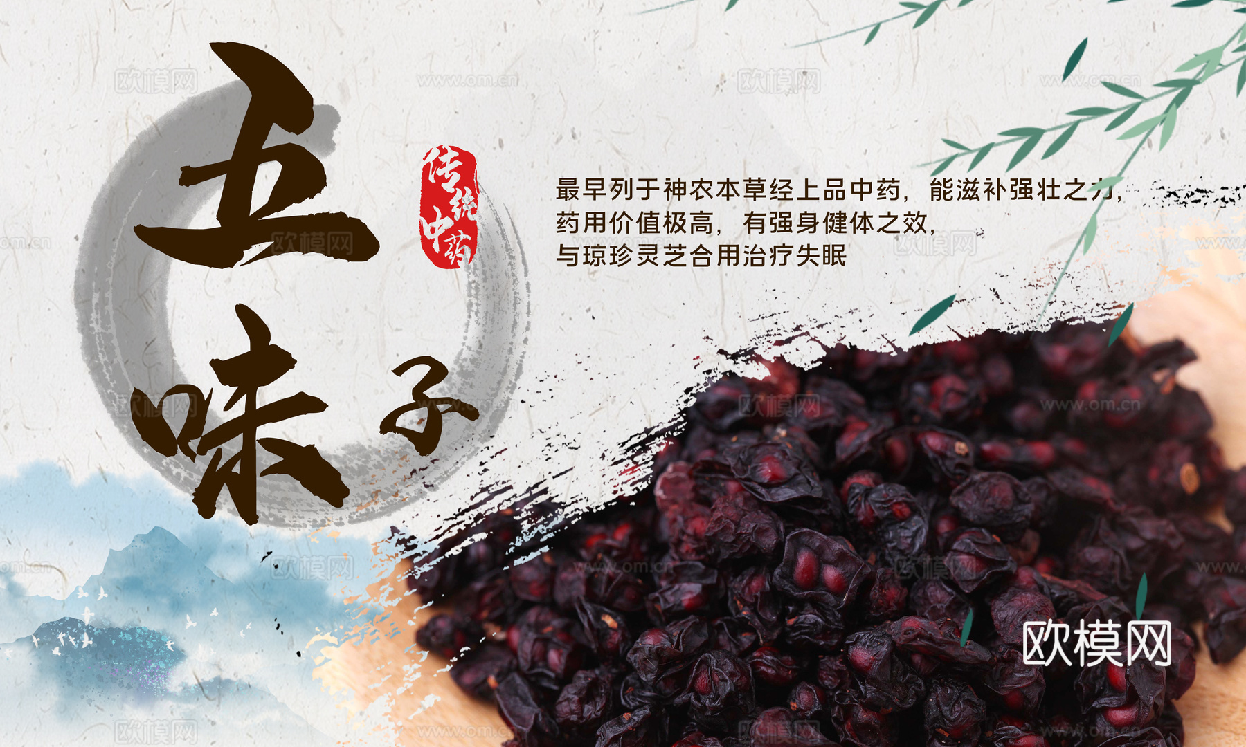 传统中药海报