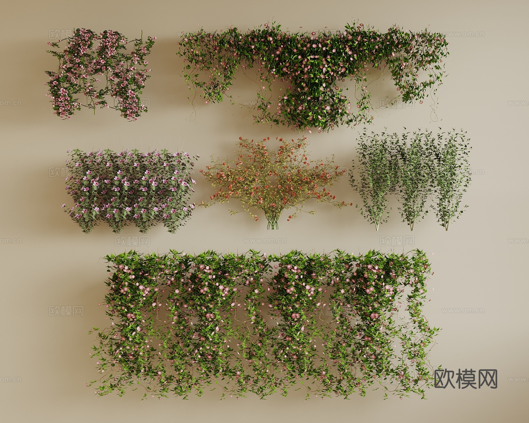 藤蔓 爬藤 爬山虎 墙花草 绿植墙3d模型