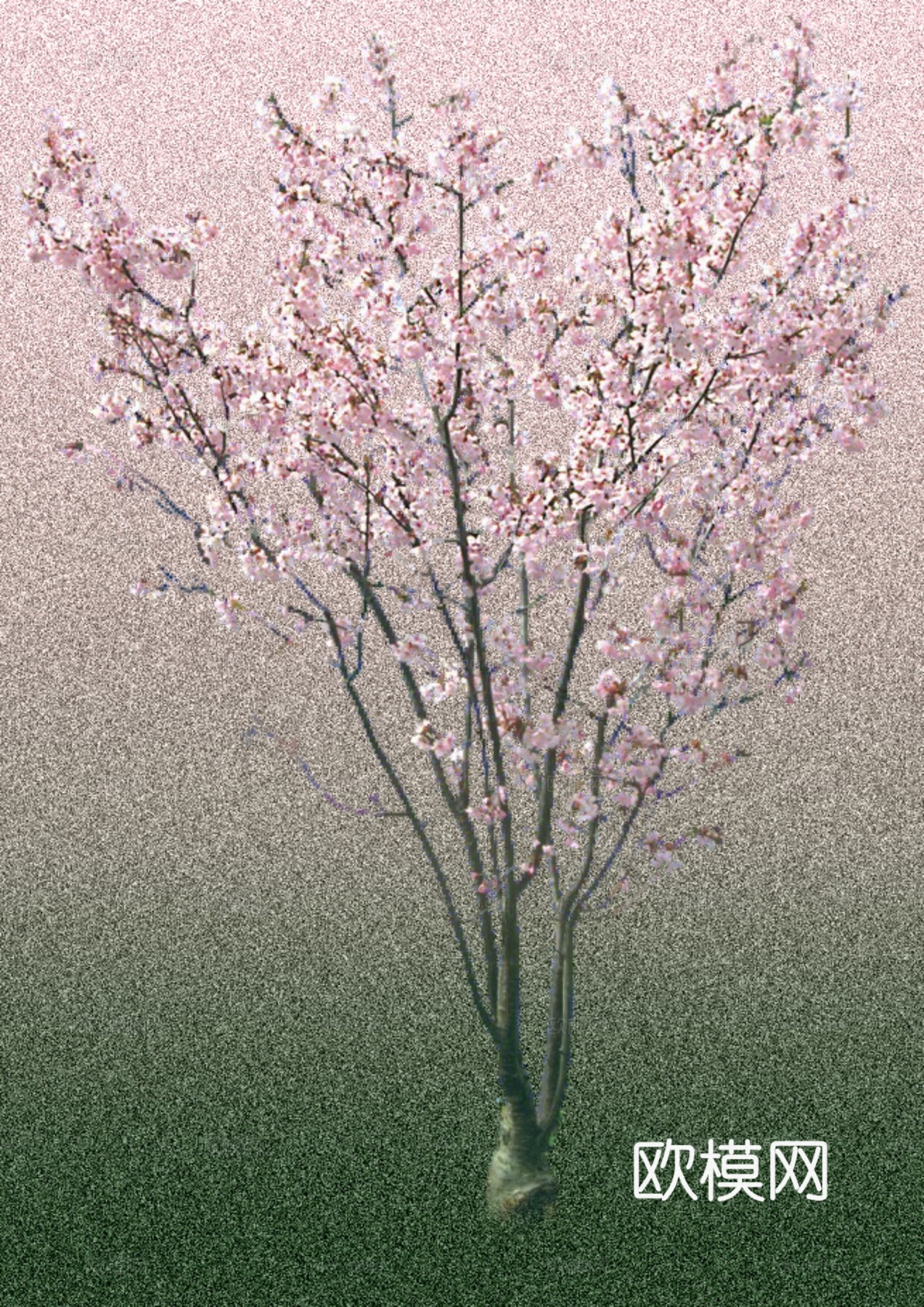 小树 好看的树下载