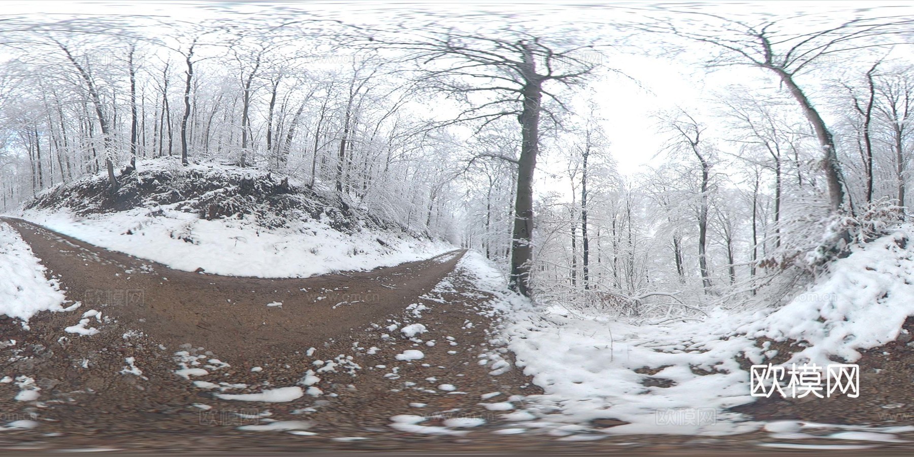 雪地 外景素材
