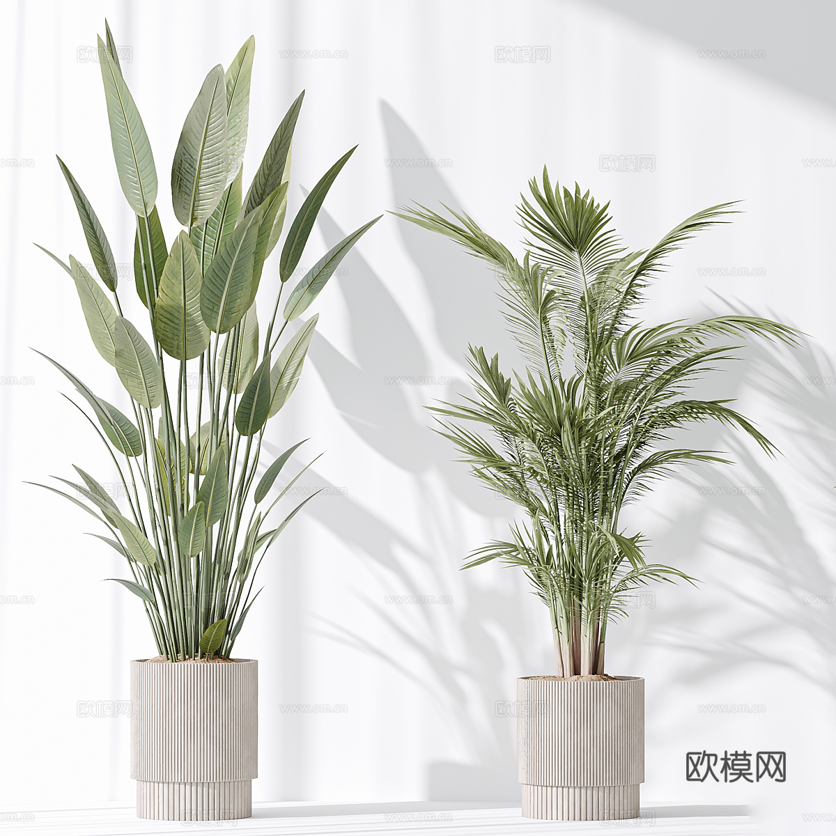 现代绿植盆栽3d模型