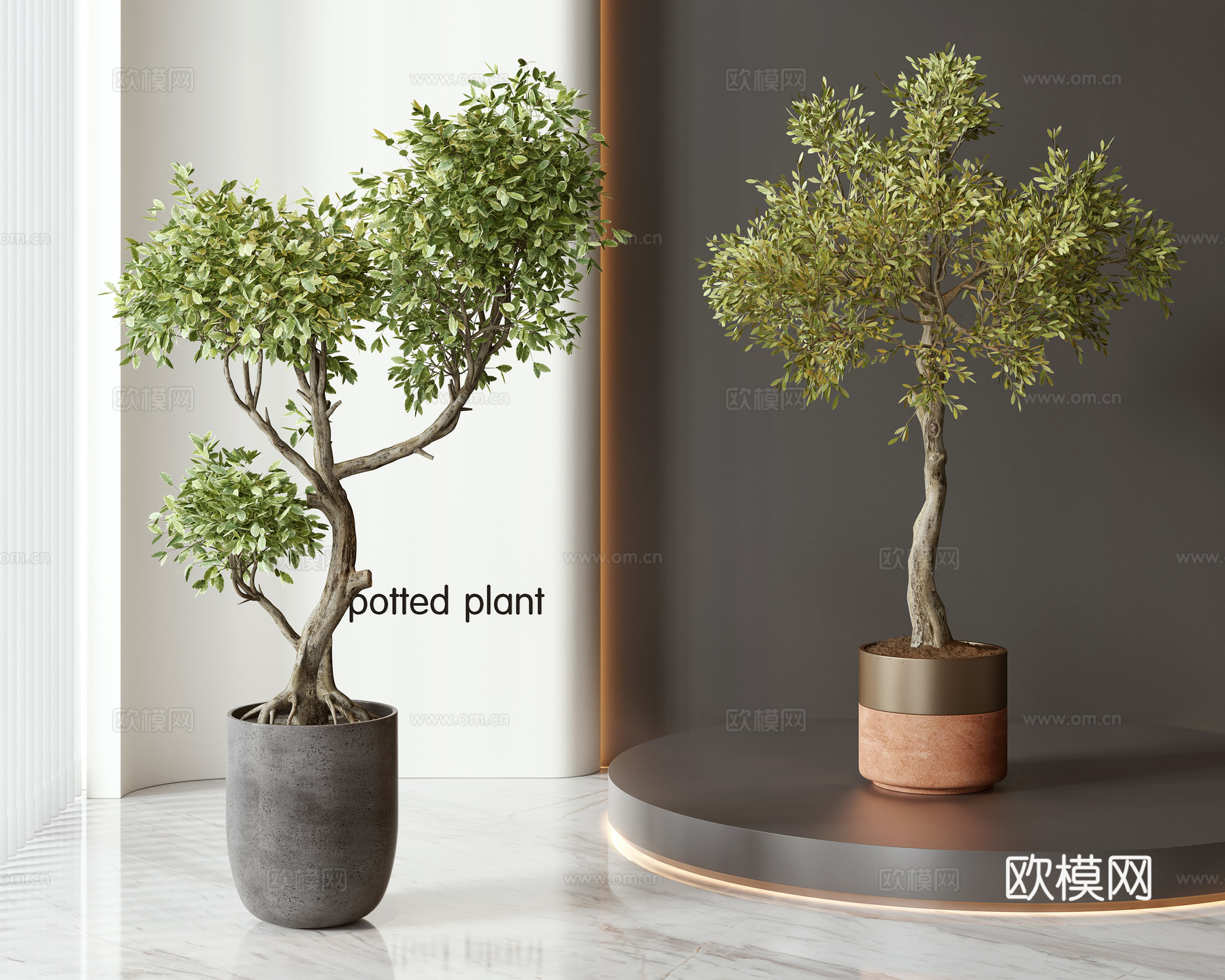 现代盆栽盆景绿植组合3d模型