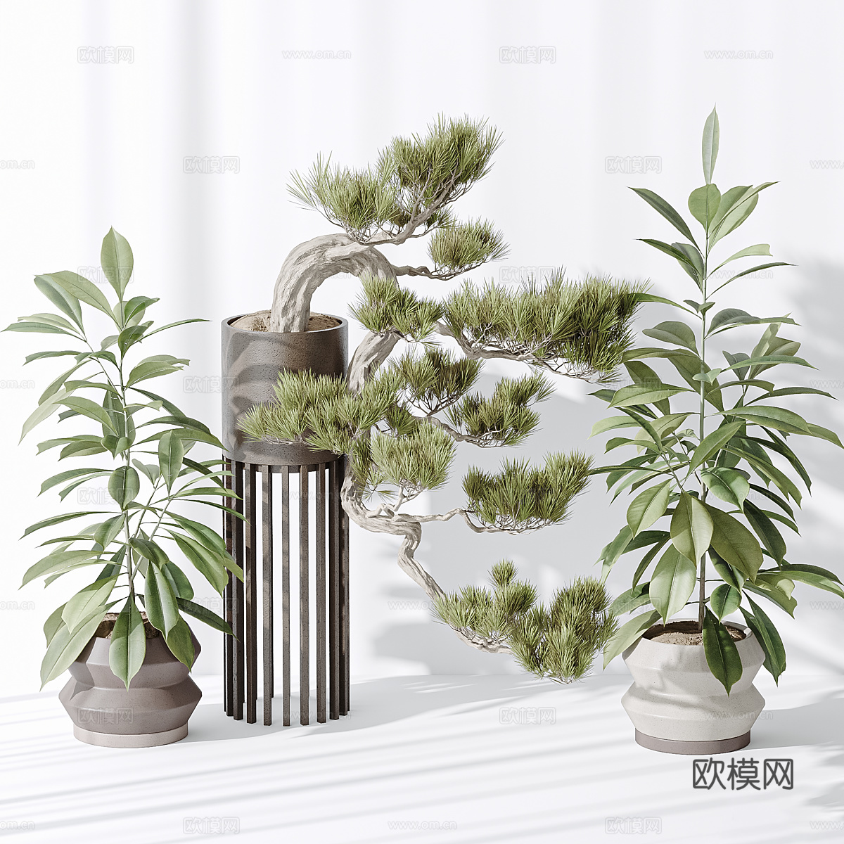 现代绿植盆栽3d模型