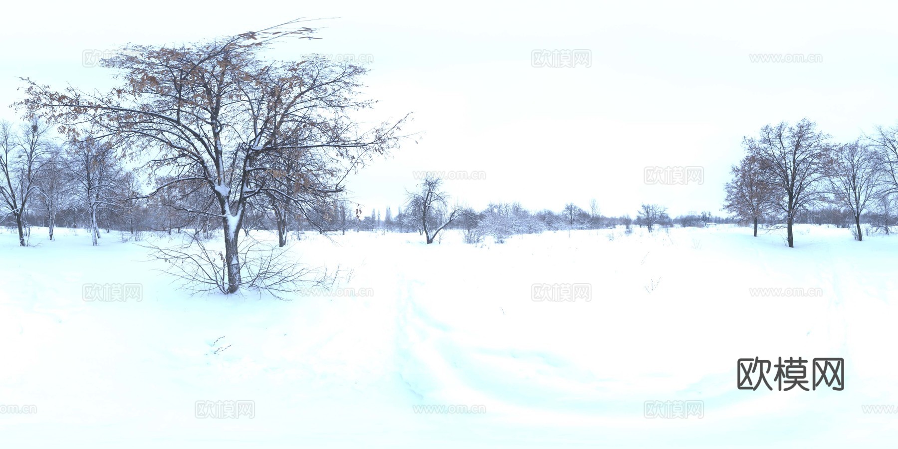 雪地 外景素材