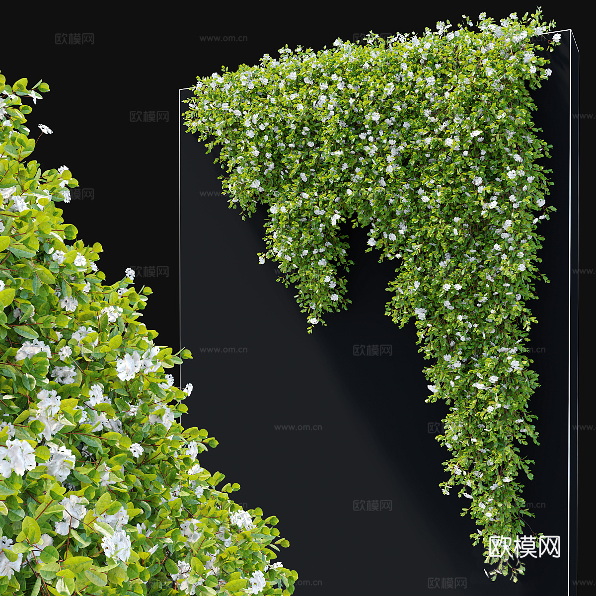 悬挂植物3d模型