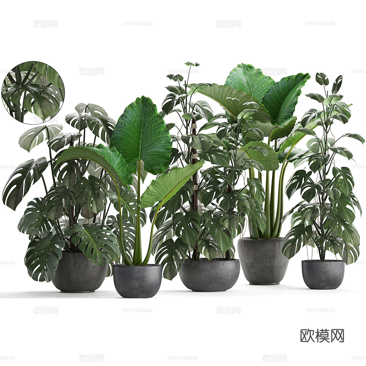 绿植盆栽3d模型