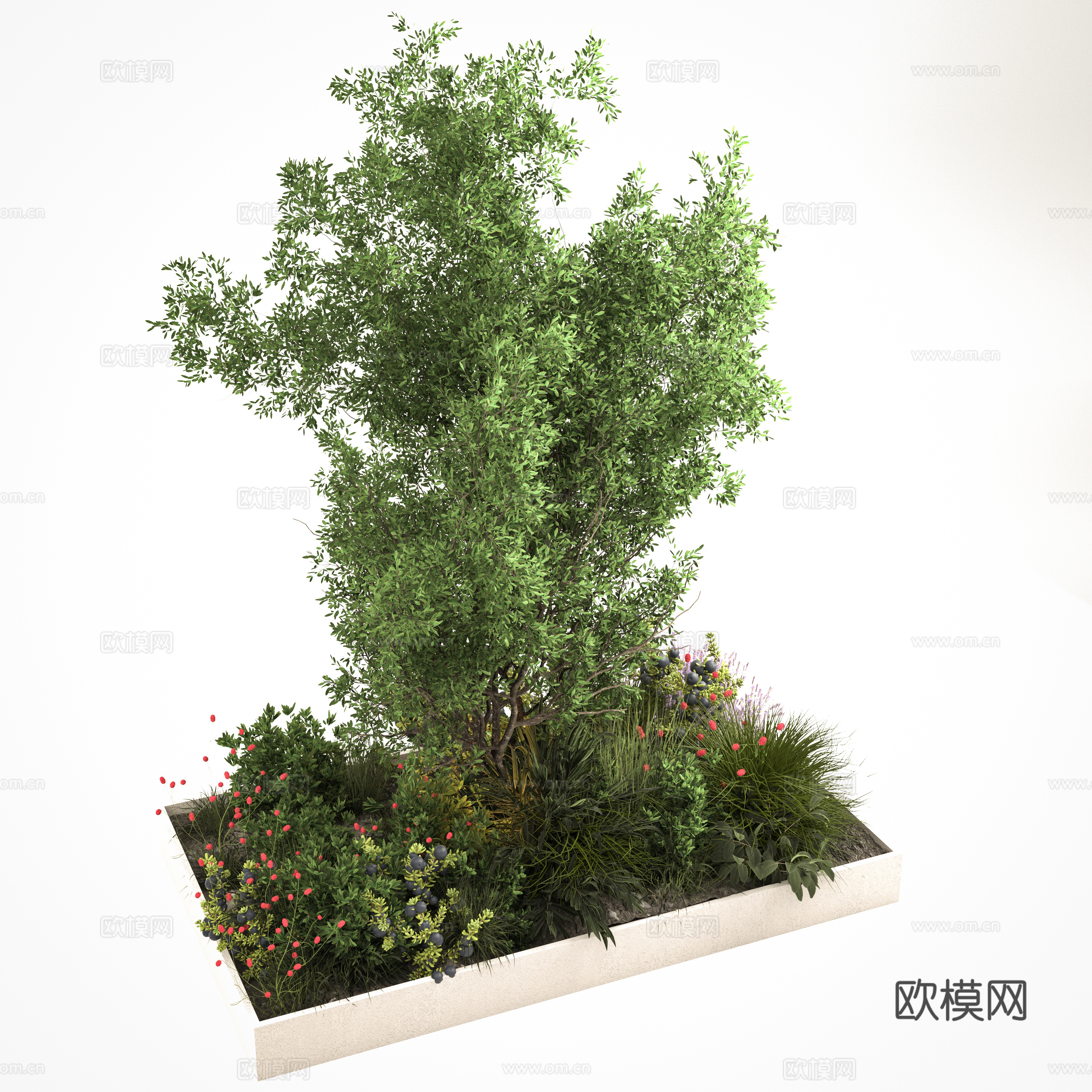 植物 绿植墙 竹子 景观树su模型下载（渲染图1）