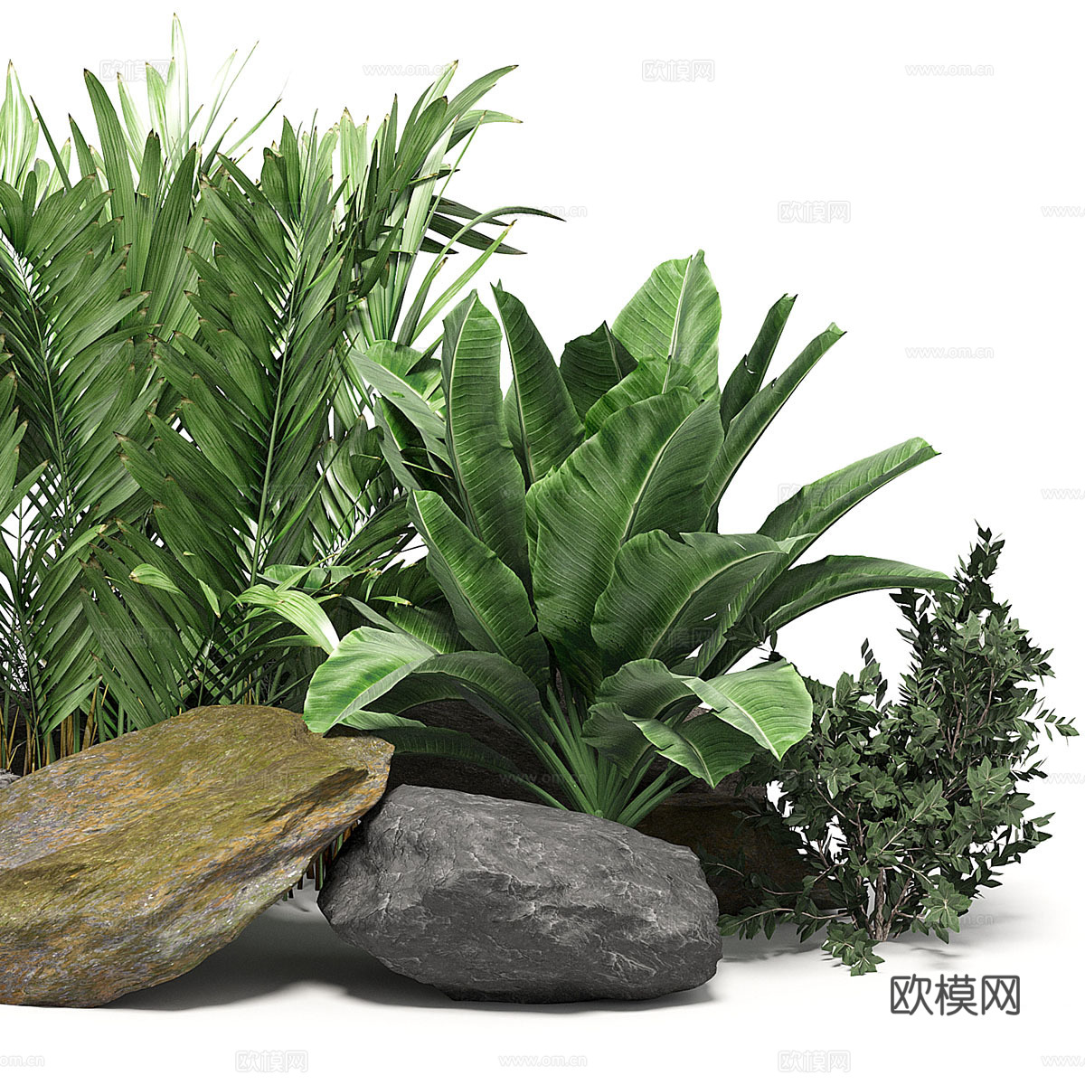 现代庭院植物堆3d模型