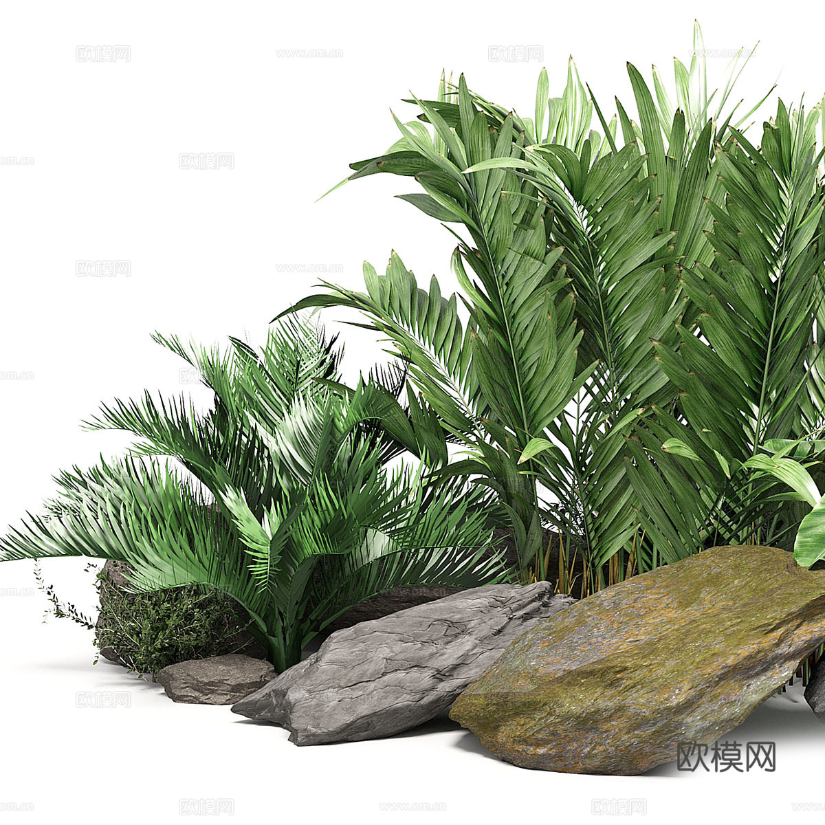 现代庭院植物堆3d模型