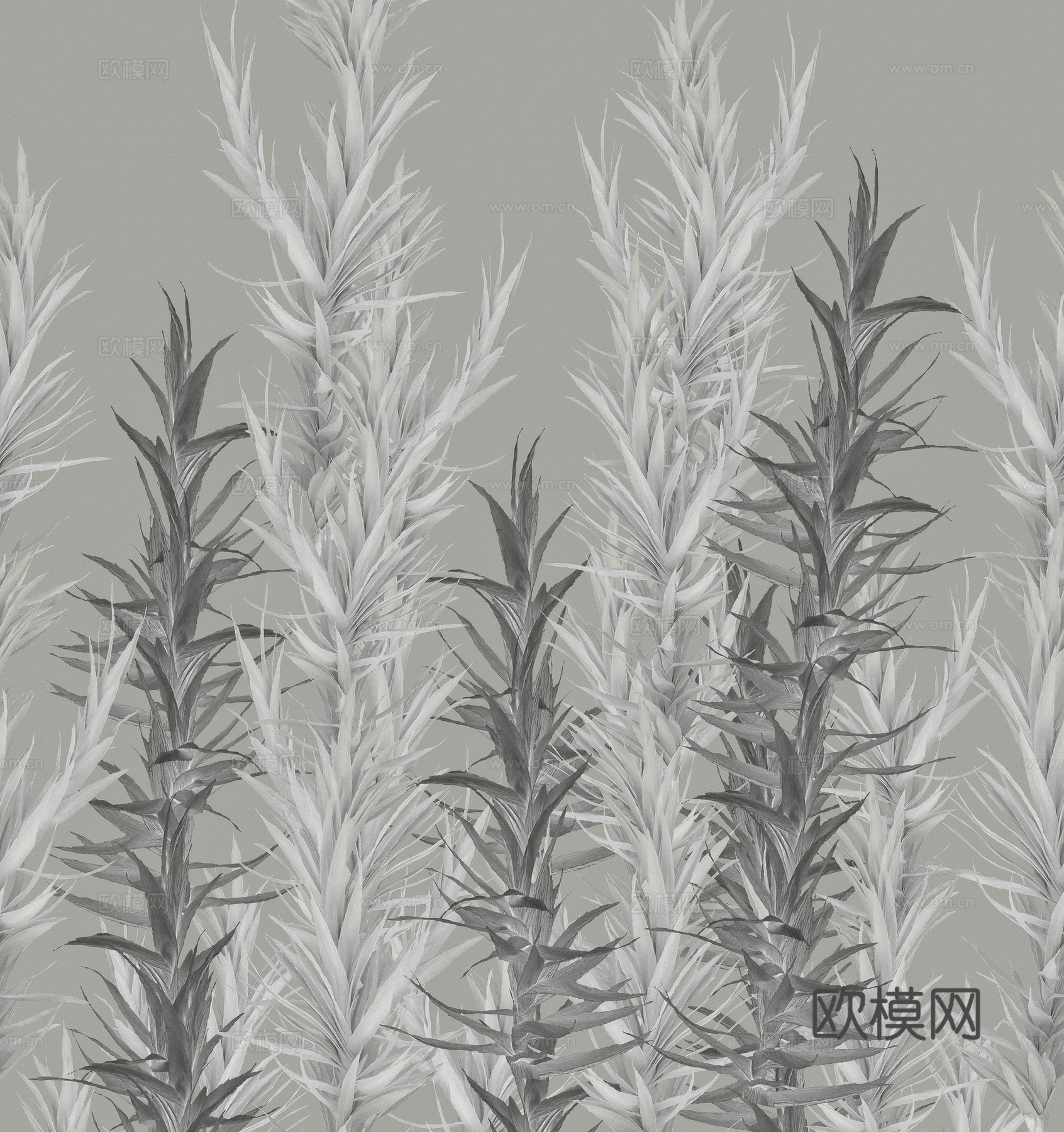 蓝色植物竹子壁纸