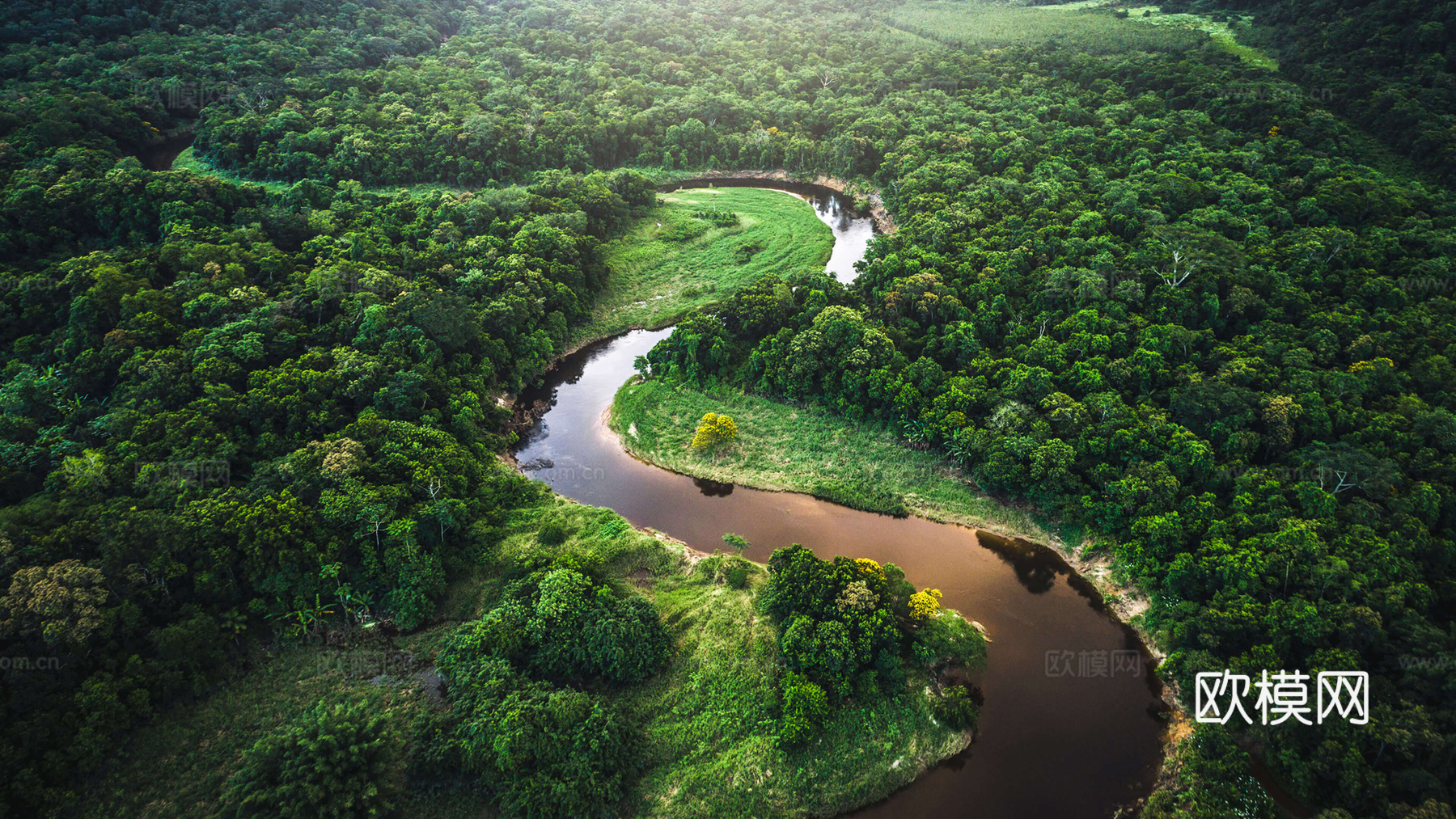 绿色丛林河流风景