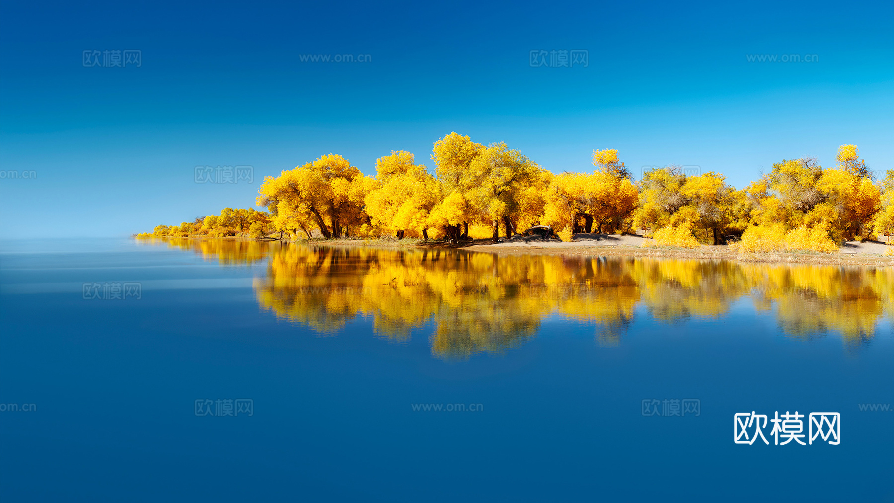 秋天风景