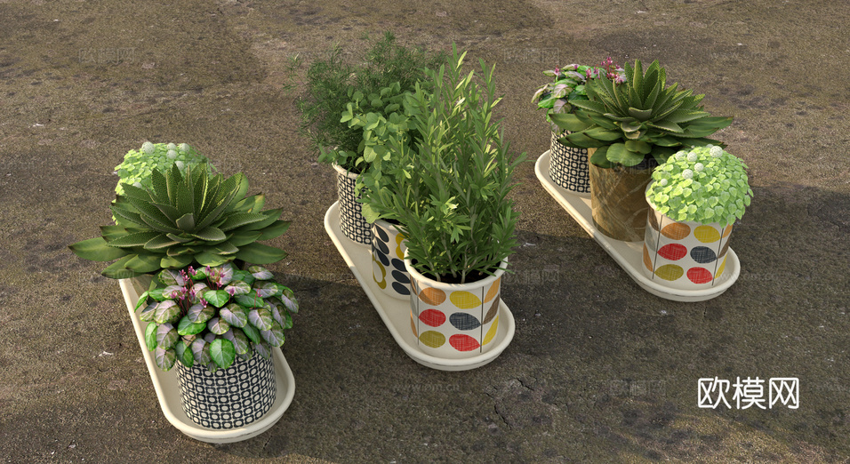 植物 绿植 芦荟3d模型下载