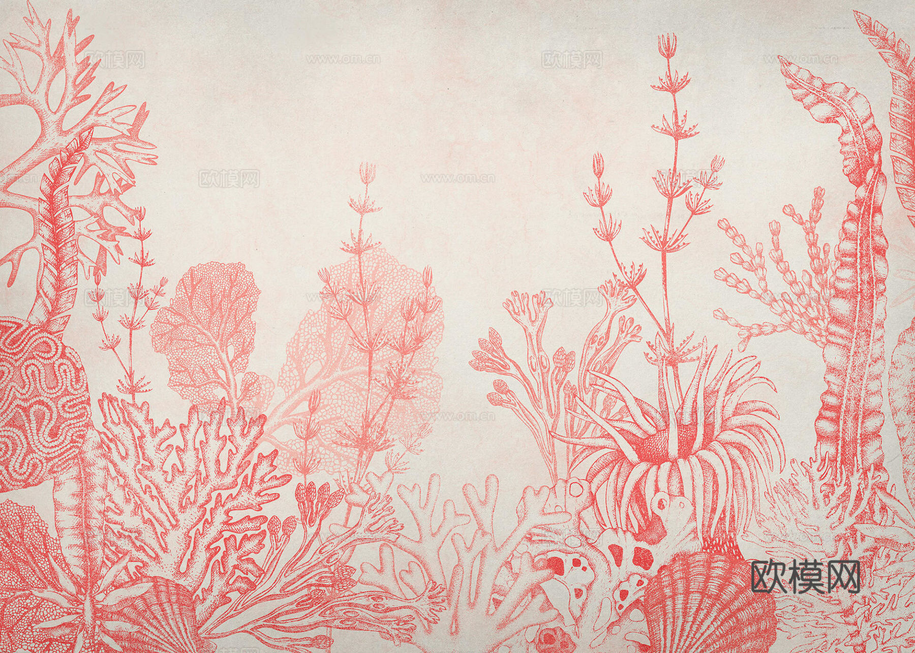 红色植物壁纸下载