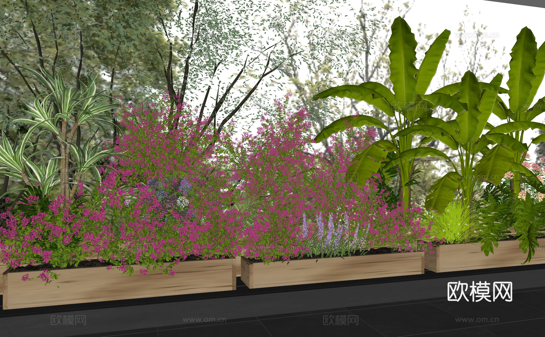 植物盆栽花箱 三角梅 开花绿植 盆栽盆景su模型下载（渲染图2）