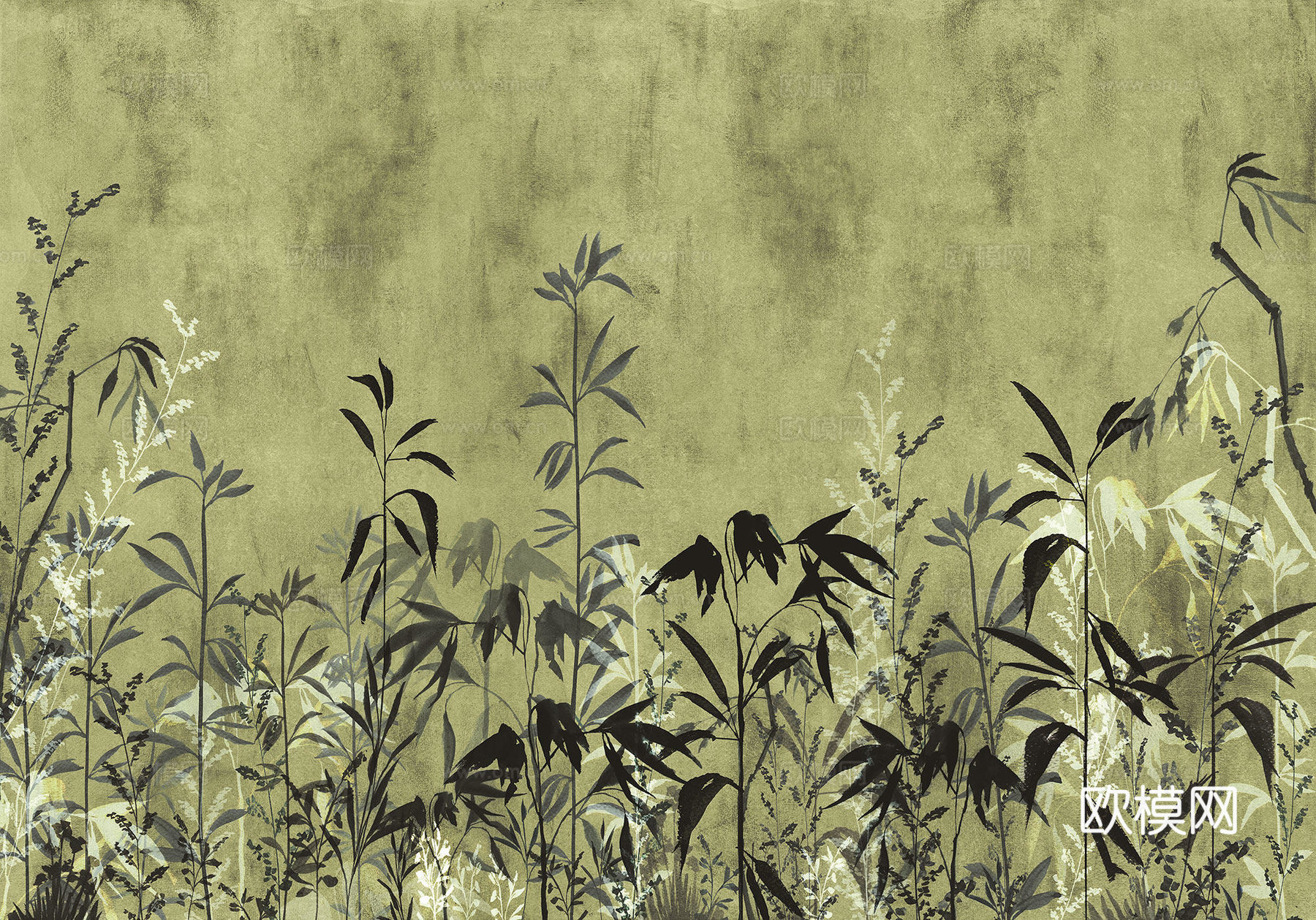 绿色植物壁纸