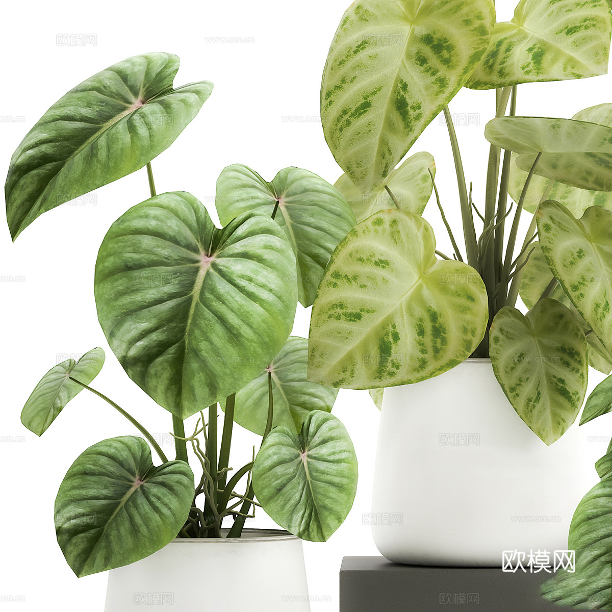 现代绿植盆景 盆栽3d模型