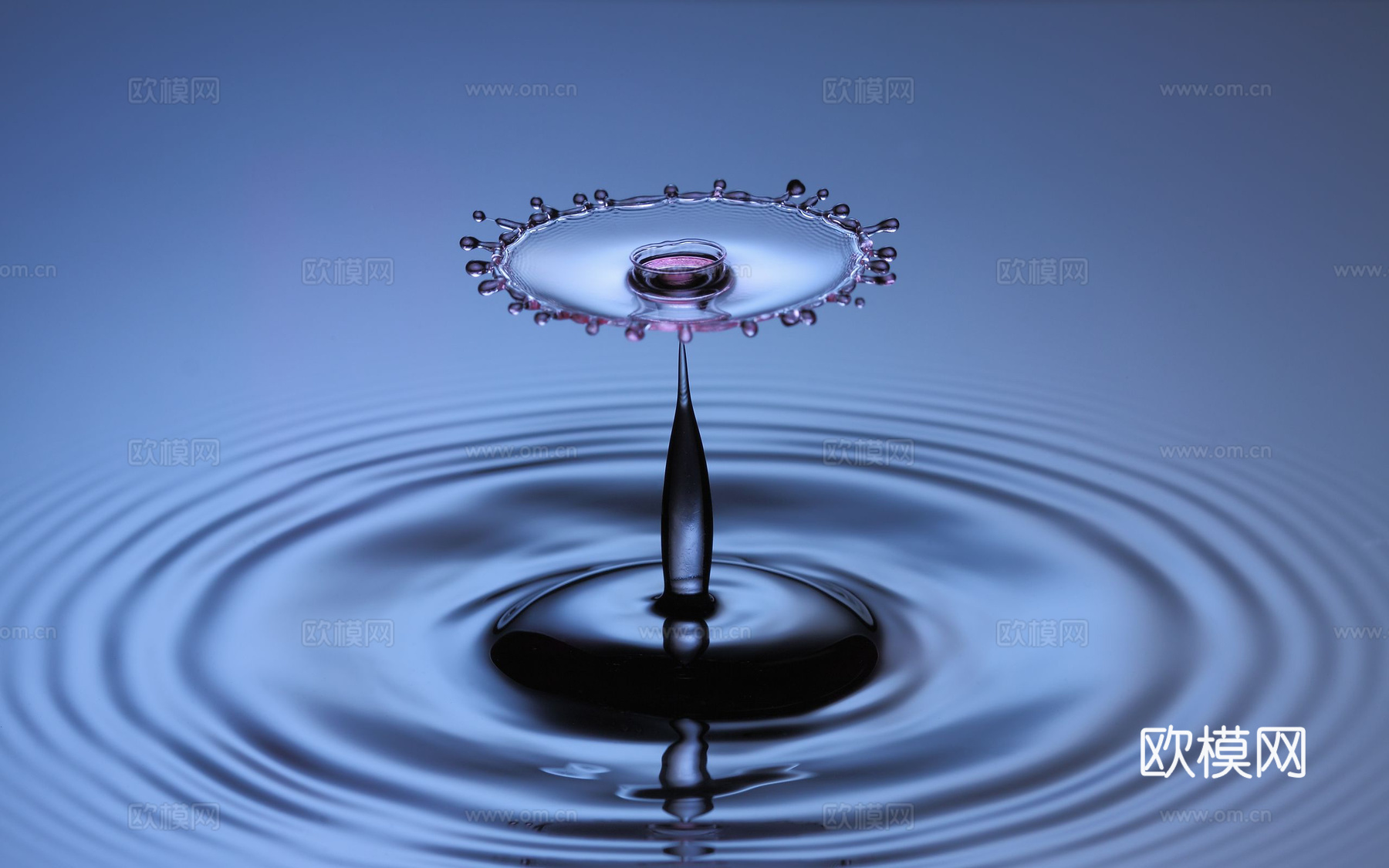水波纹