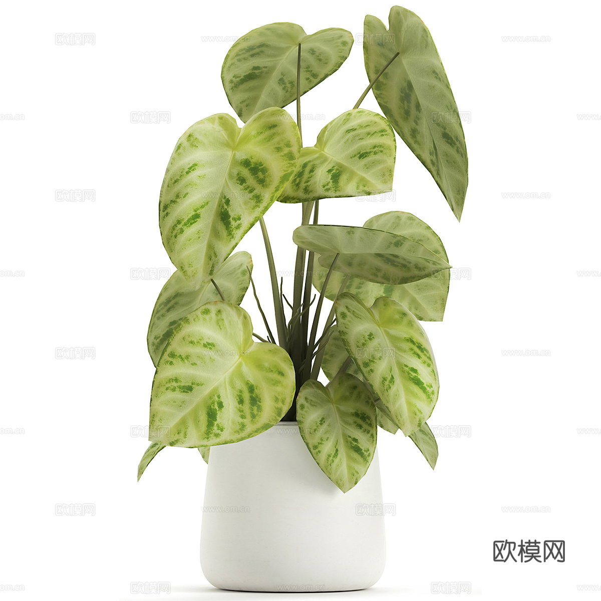 现代绿植盆景 盆栽3d模型