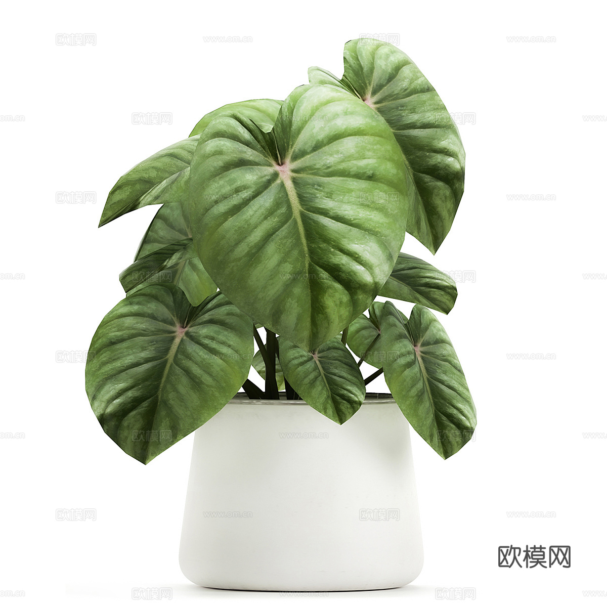 现代绿植盆景 盆栽3d模型