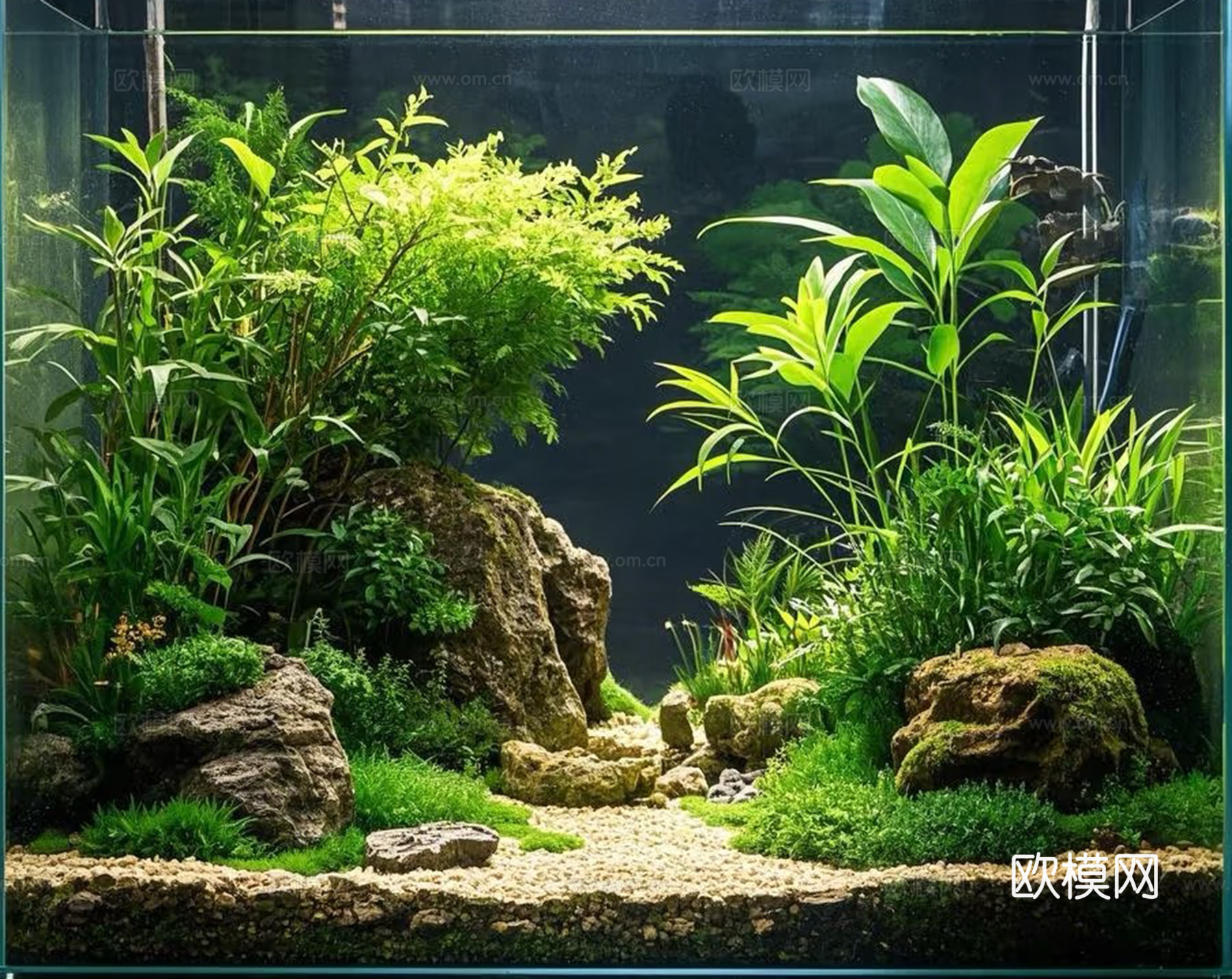 鱼缸造景