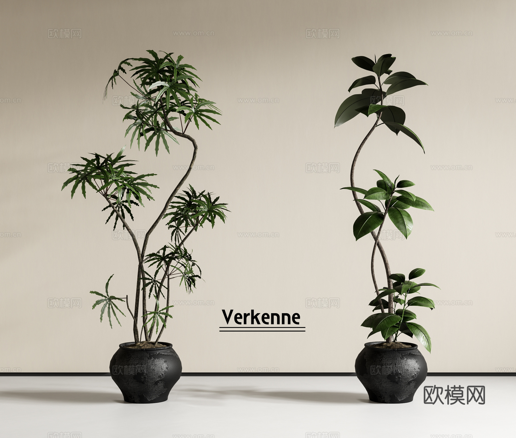 绿植盆栽 植物盆栽 落地植物3d模型