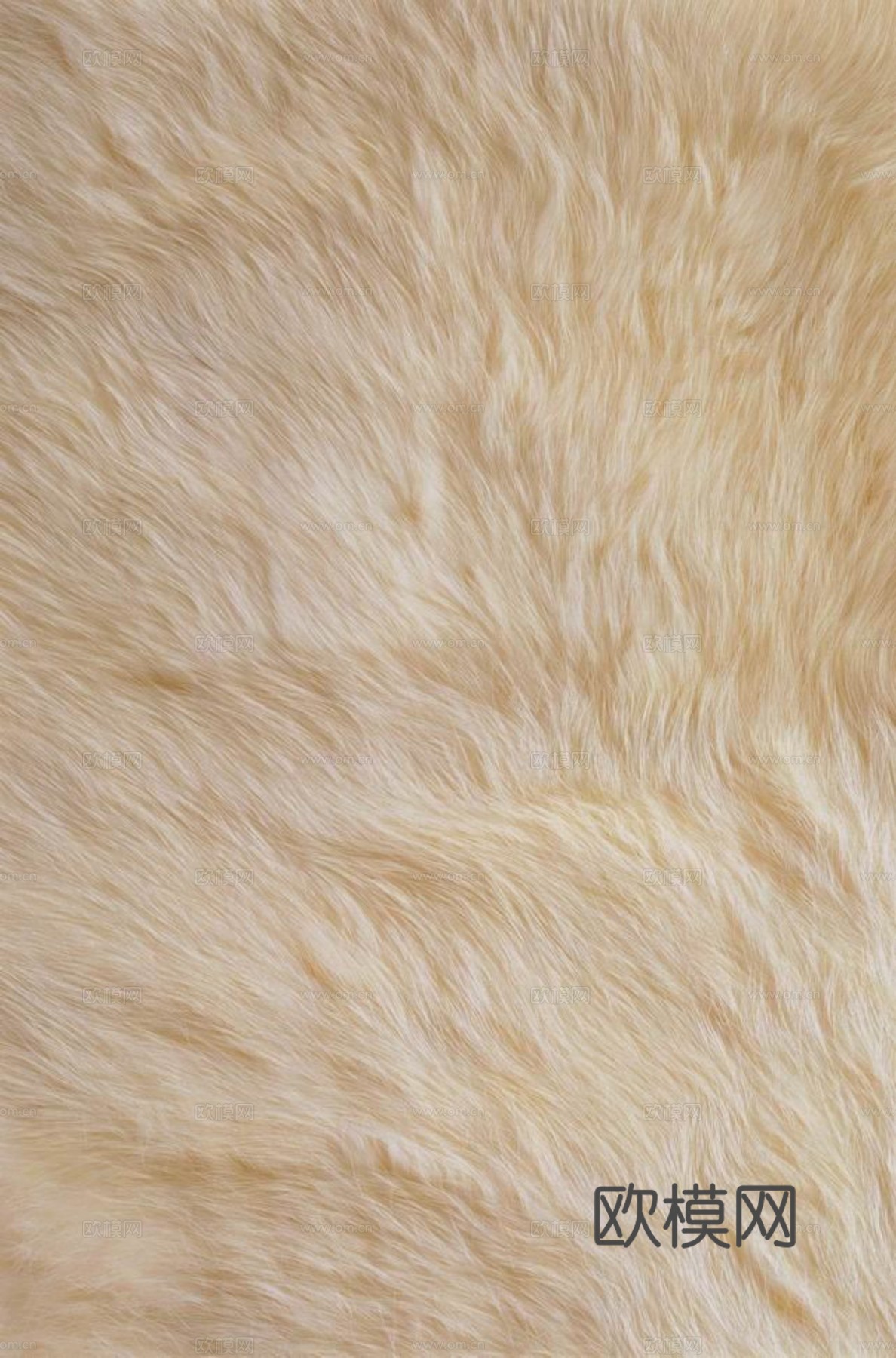 毛发 动物皮毛下载
