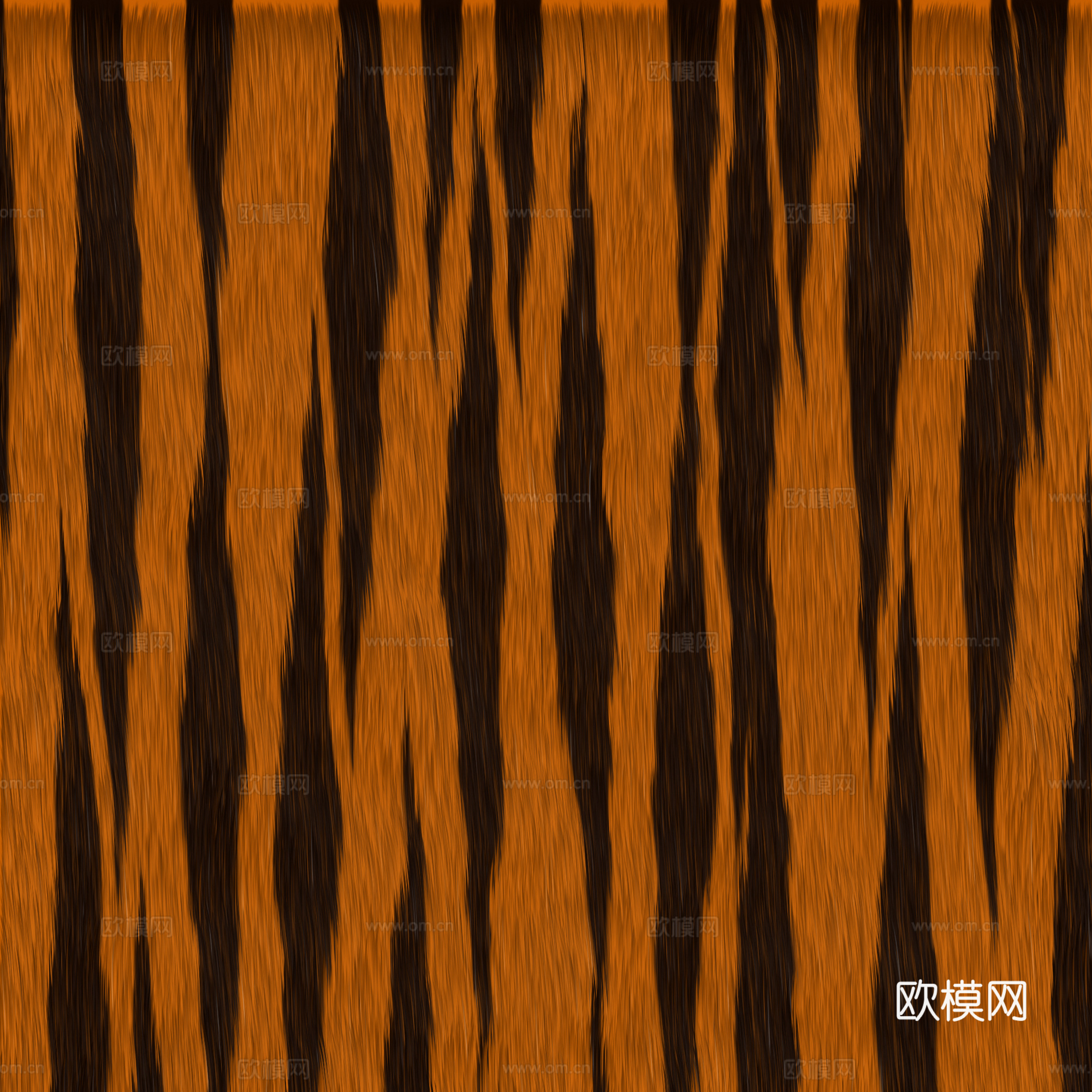 毛发 动物皮毛