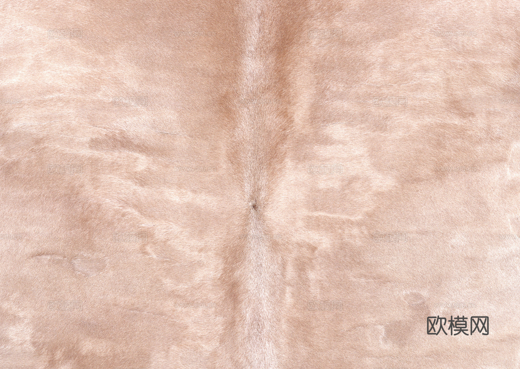 毛发 动物皮毛下载